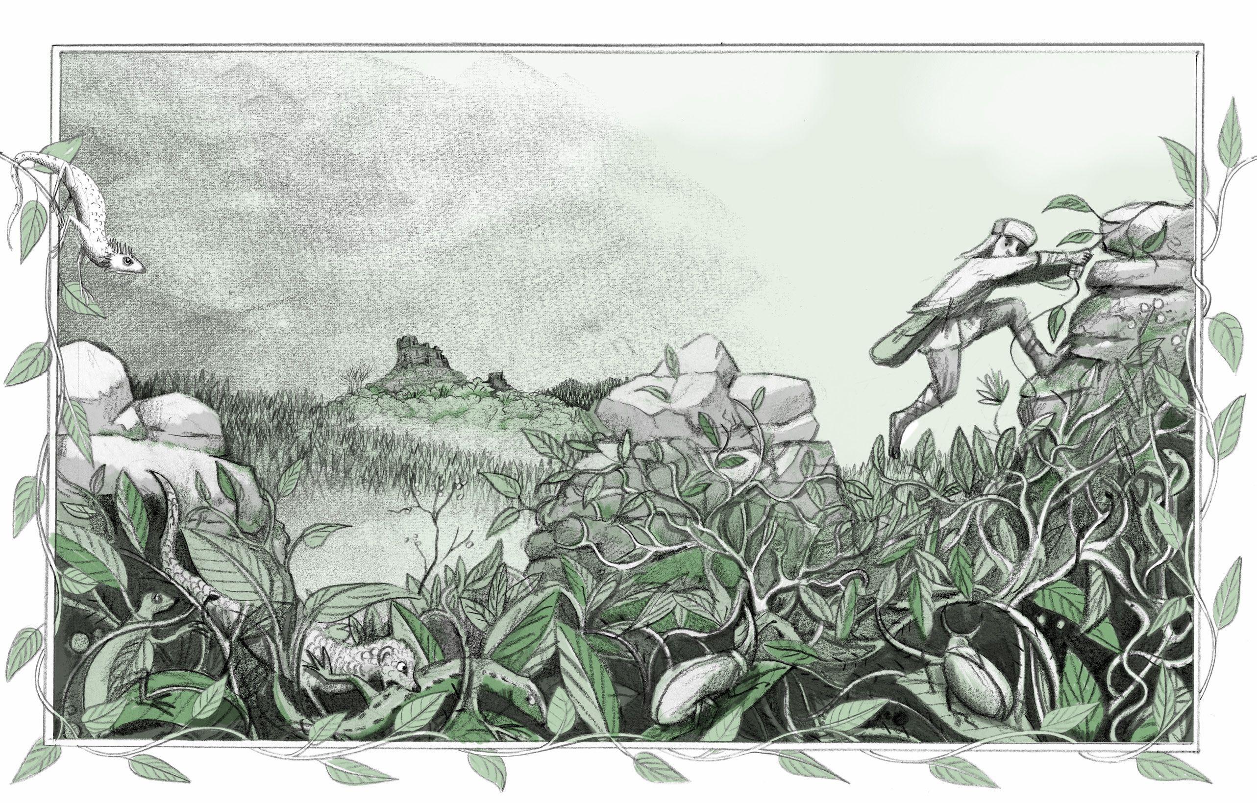 Beispielinhalt (Bild) The Forest of a Thousand Eyes