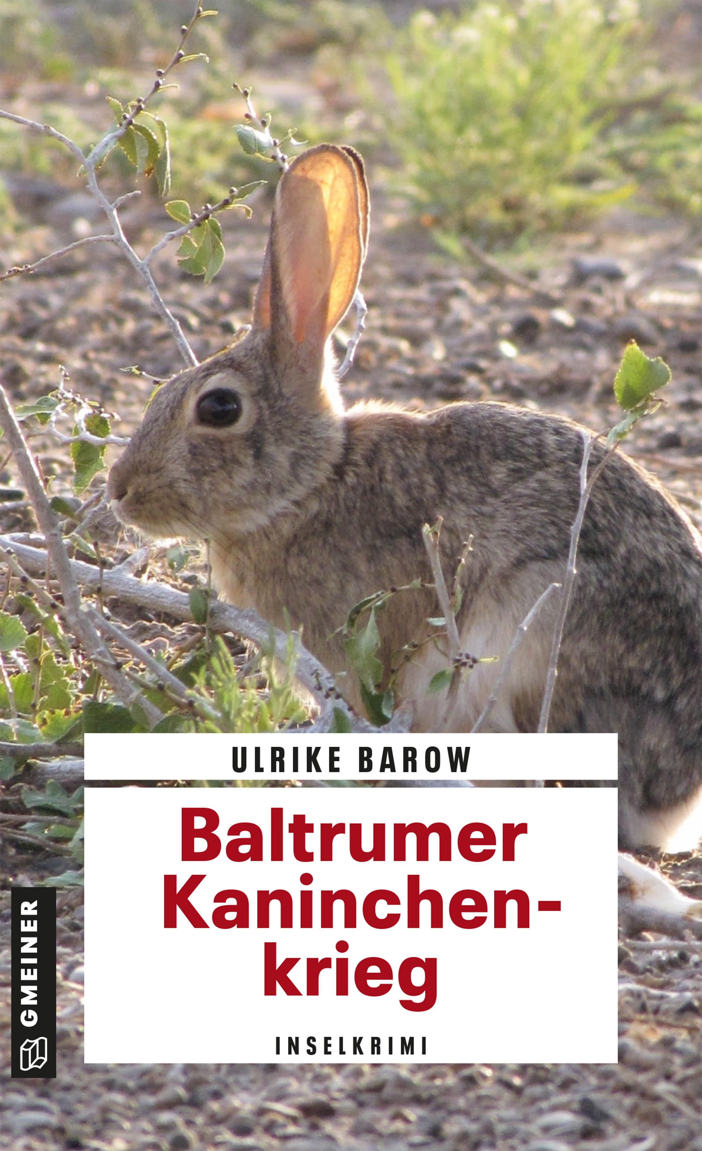 Vorderes Coverbild Baltrumer Kaninchenkrieg