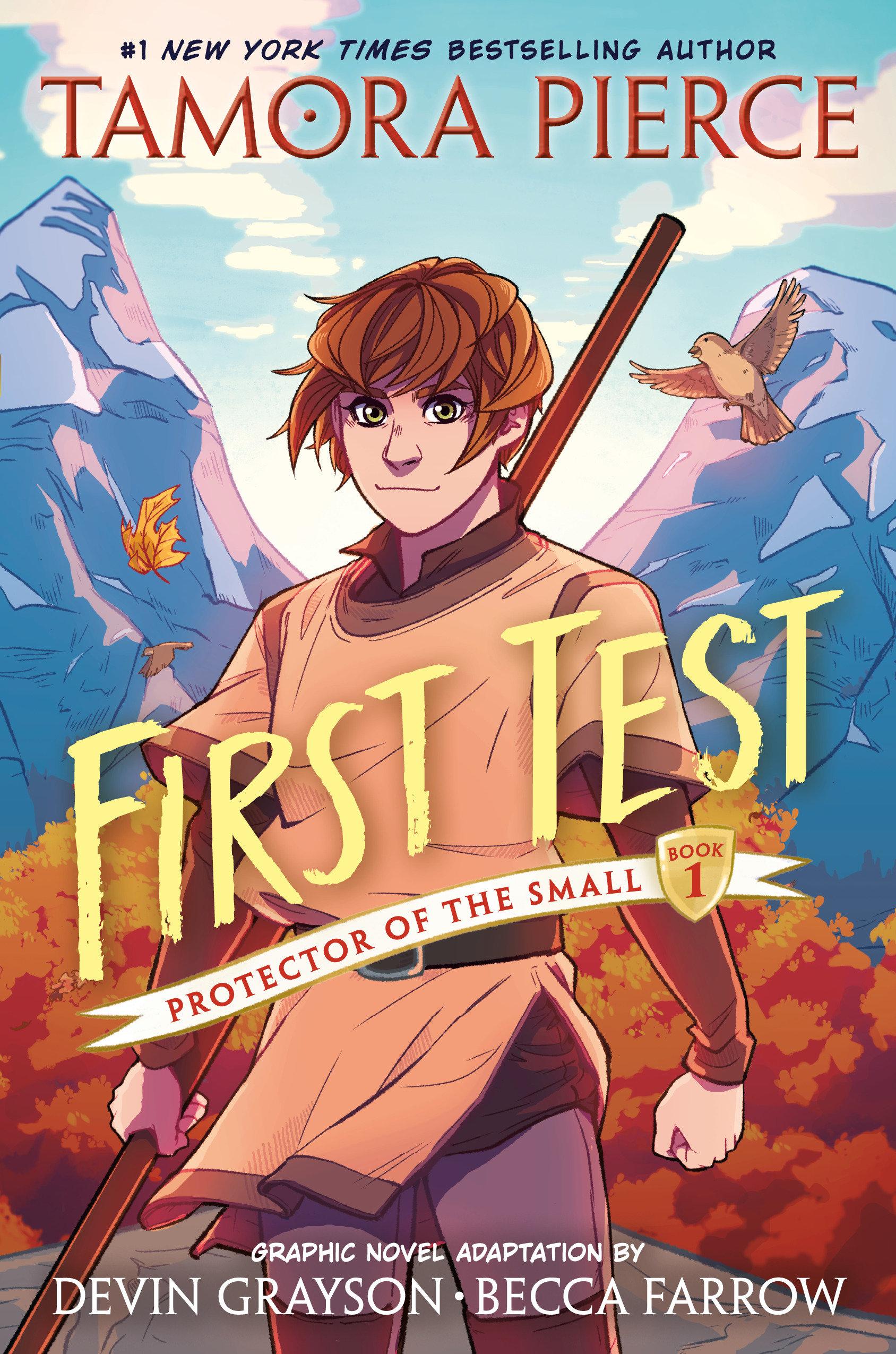 Vorderes Coverbild First Test Graphic Novel