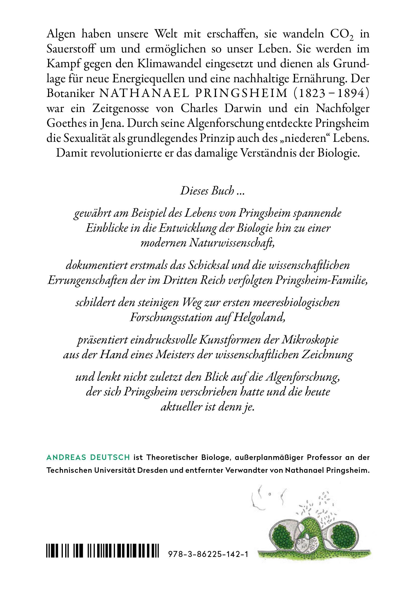 Rückseitencover Urformen der Sexualität