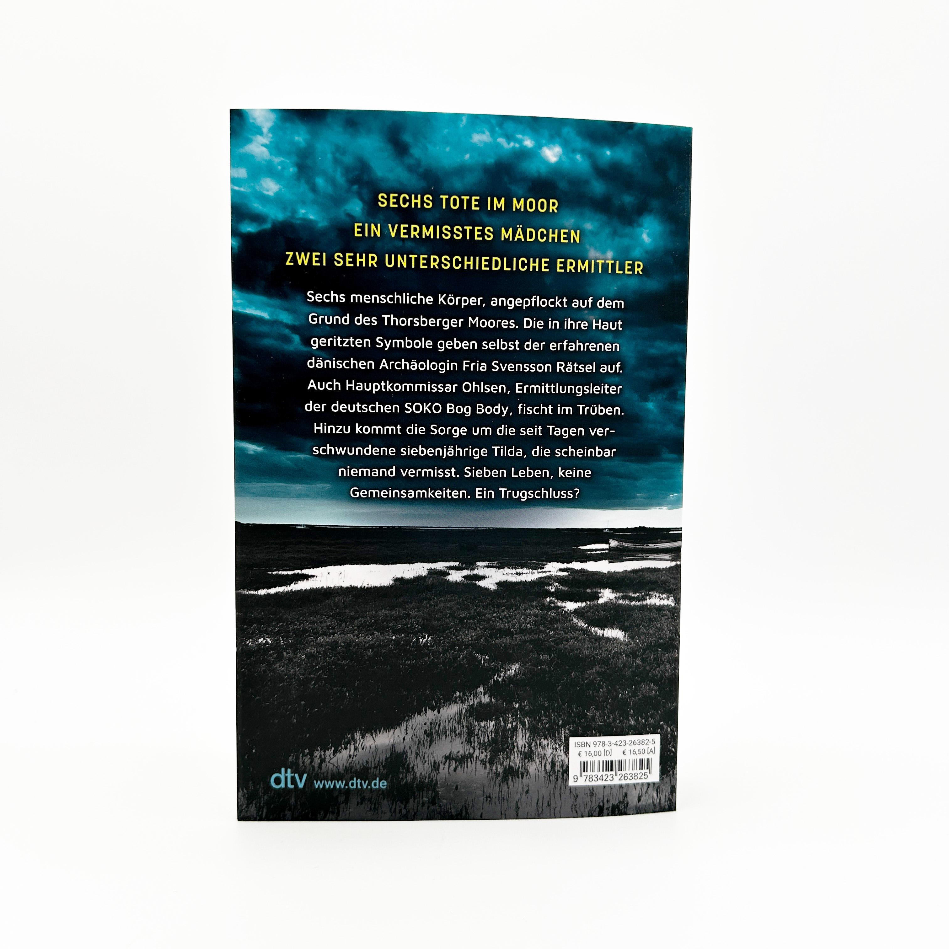 Beispielinhalt (Bild) Die Brandung - Moorengel