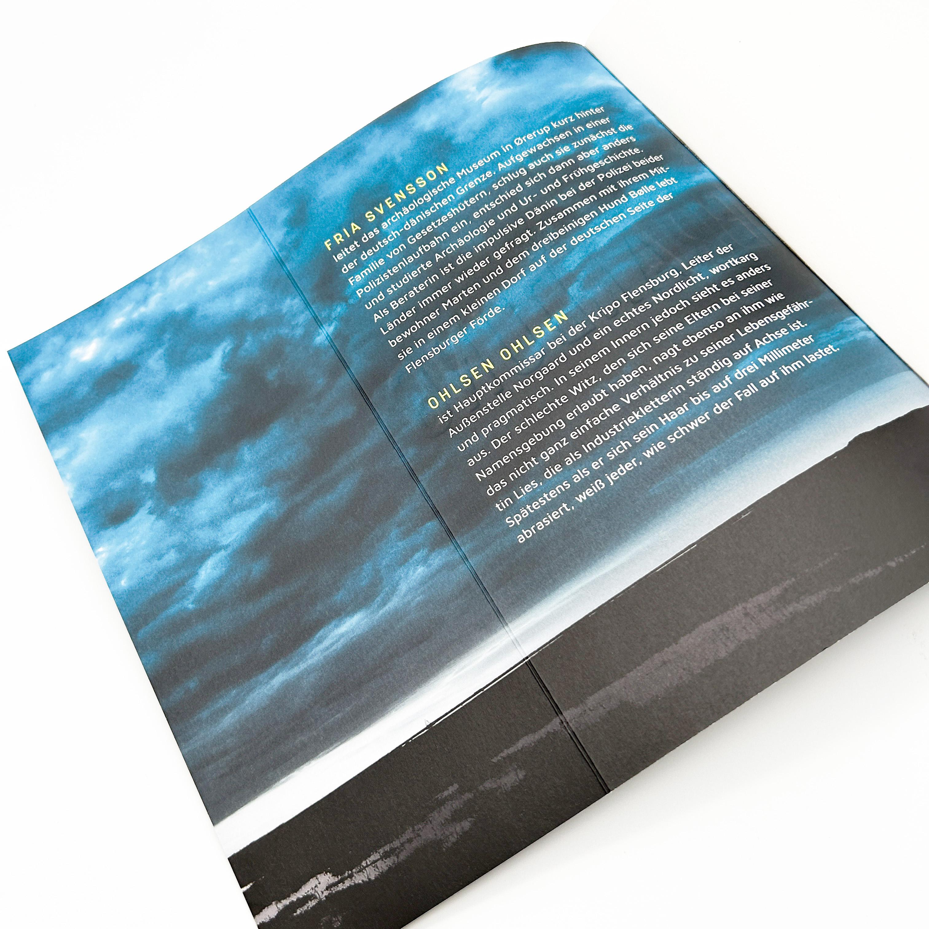 Beispielinhalt (Bild) Die Brandung - Moorengel