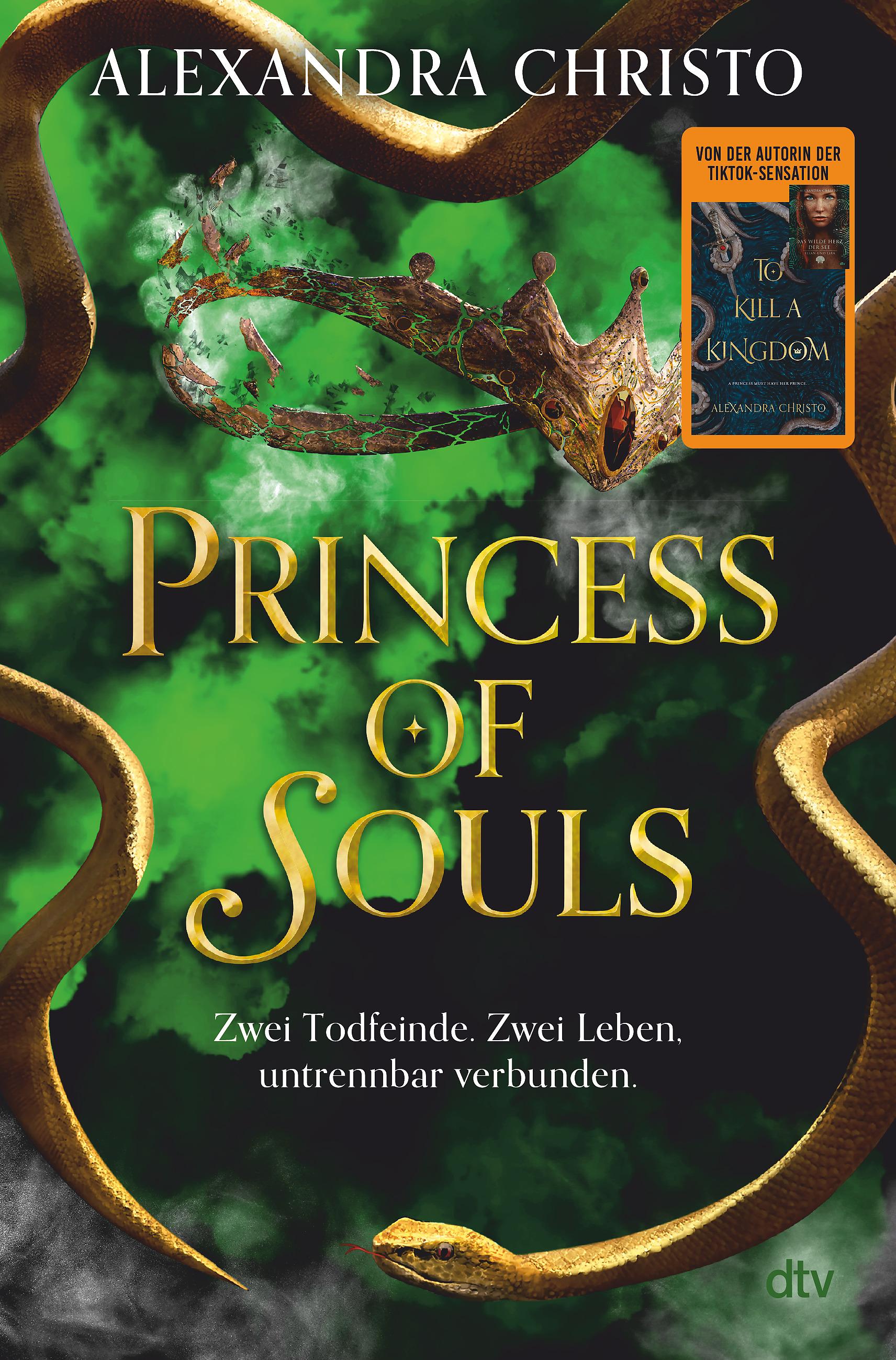 Vorderes Coverbild Princess of Souls