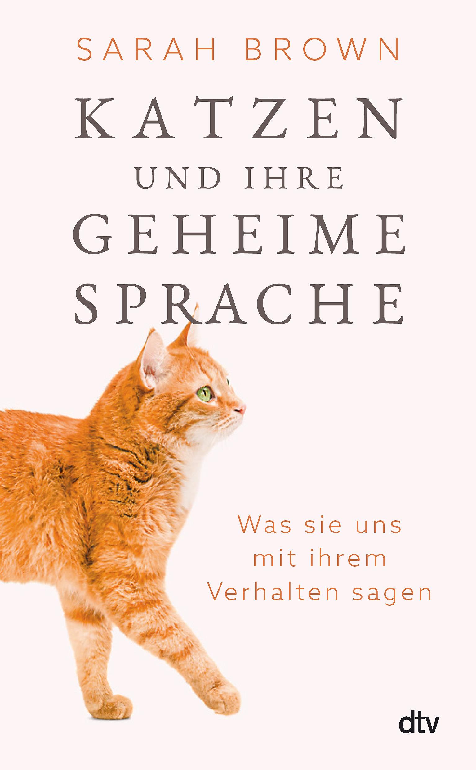 Vorderes Coverbild Katzen und ihre geheime Sprache