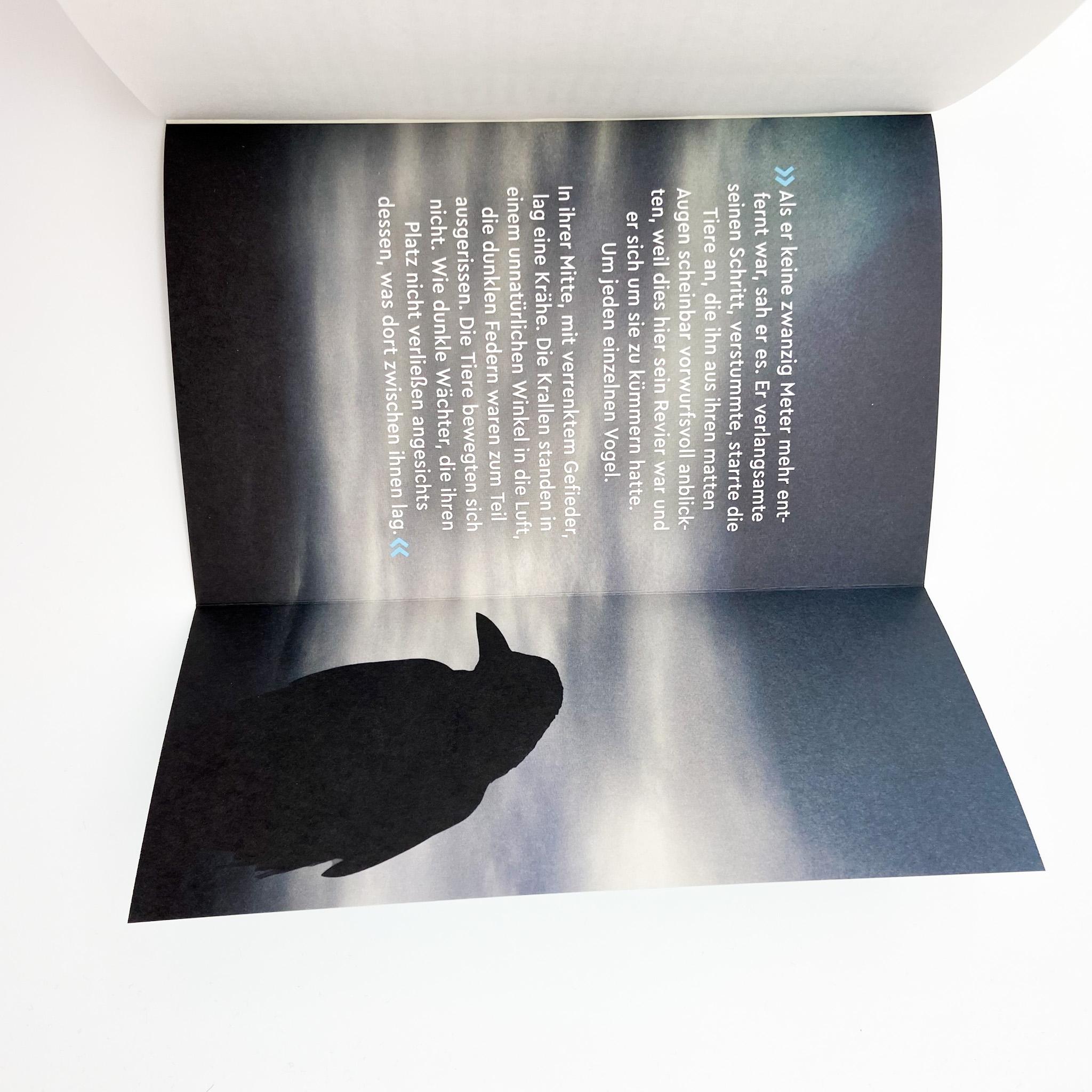 Beispielinhalt (Bild) Krähentage