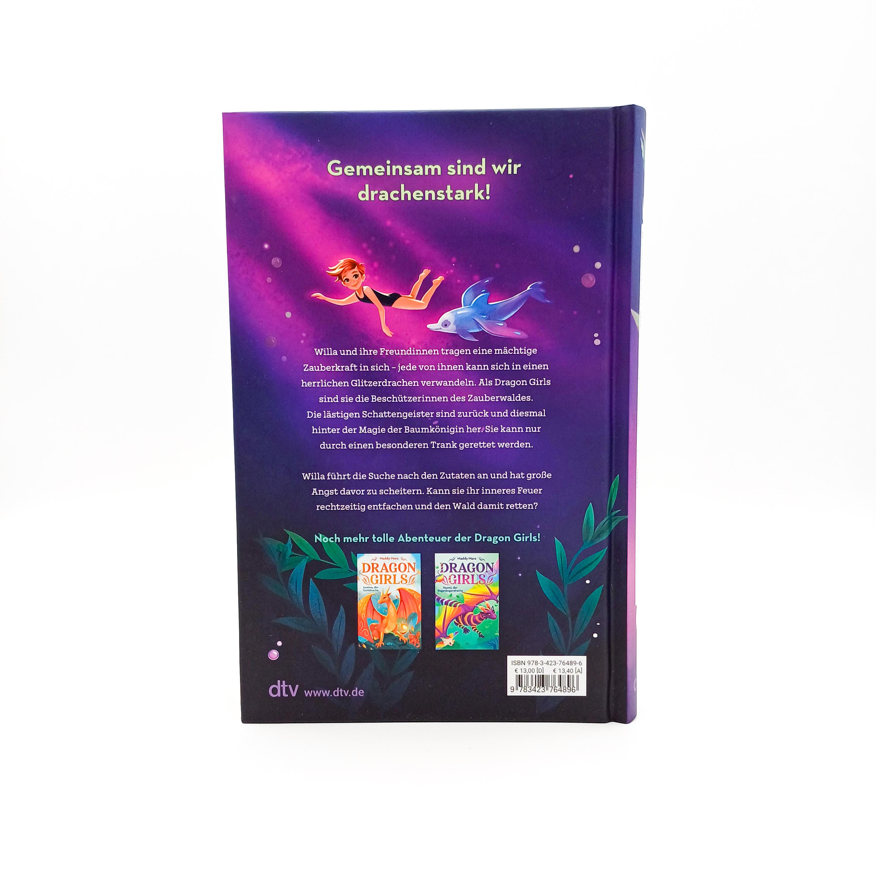Beispielinhalt (Bild) Dragon Girls - Willa, der Silberdrache