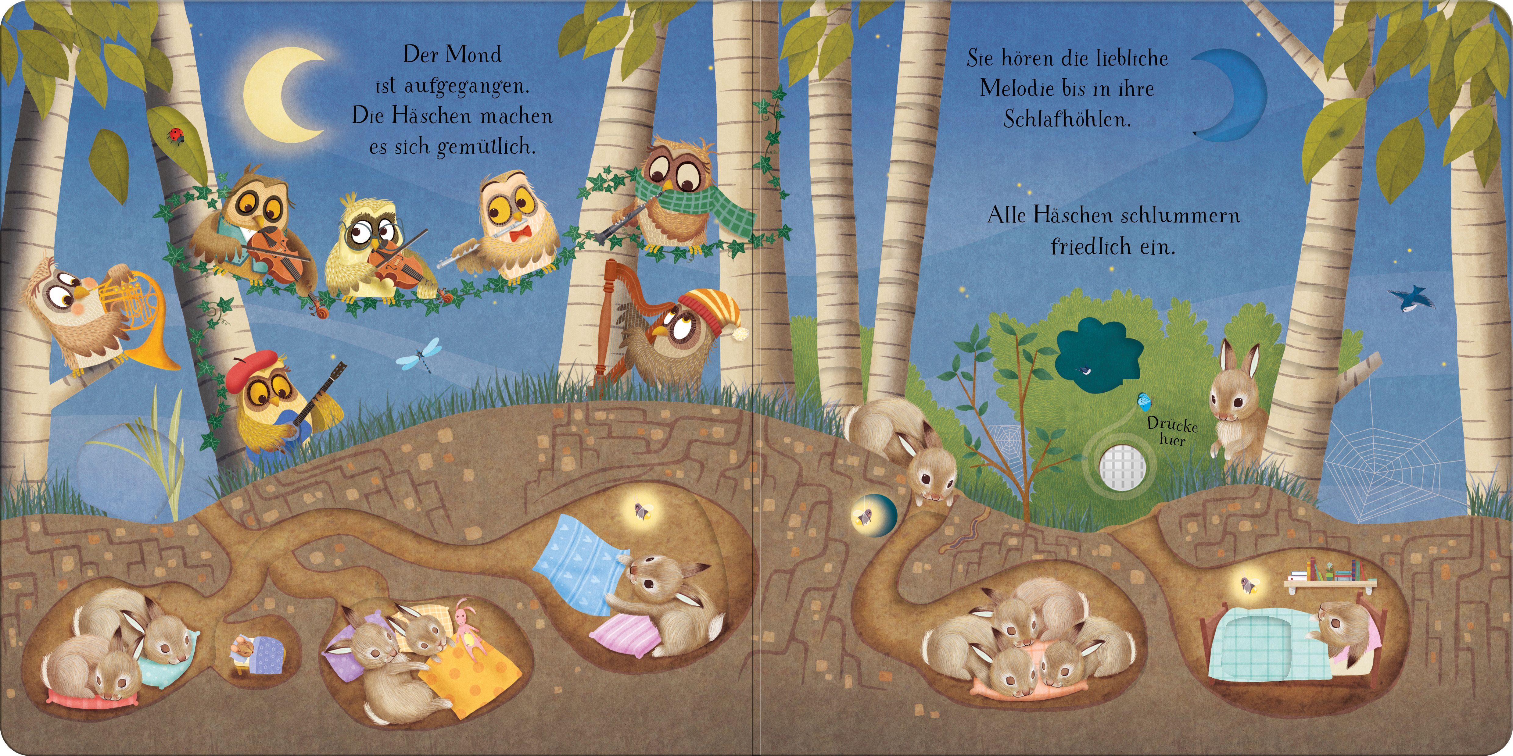 Beispielinhalt (Bild) Einschlafen mit dem Eulen-Orchester