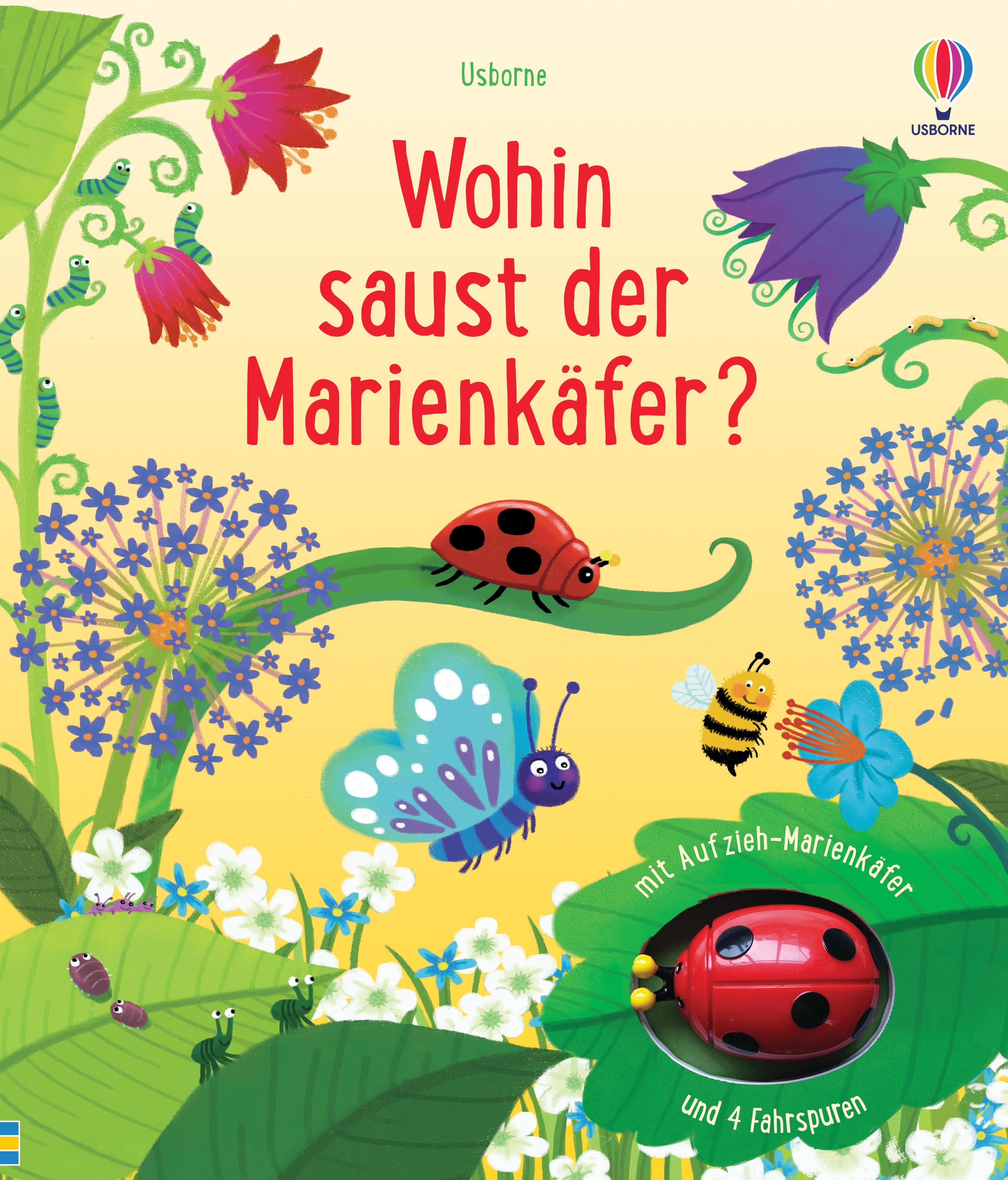 Vorderes Coverbild Wohin saust der Marienkäfer?