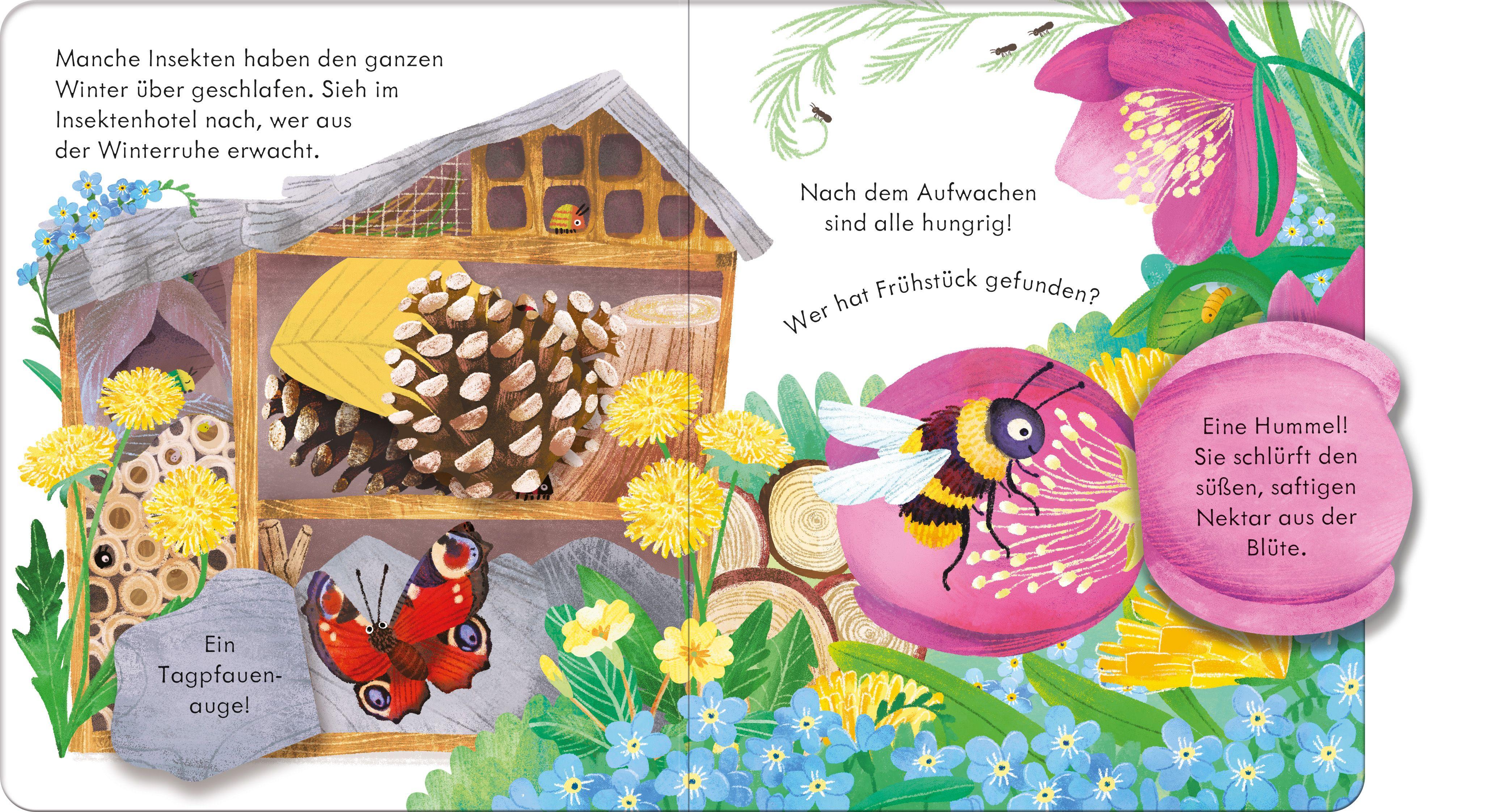 Beispielinhalt (Bild) Guck mal, wer da ist! Im Frühling