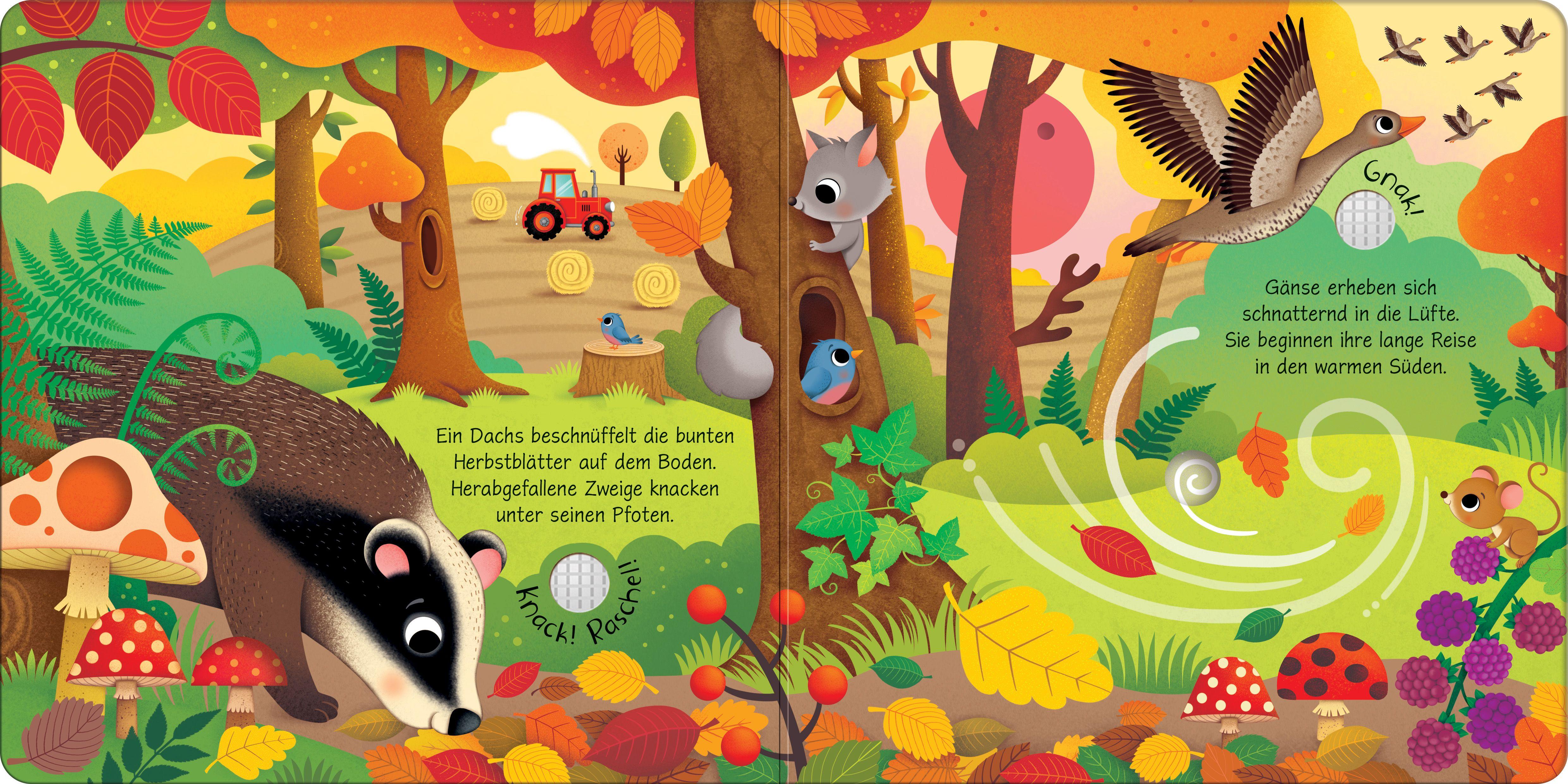 Beispielinhalt (Bild) Klänge der Natur: Wie klingen die Jahreszeiten?