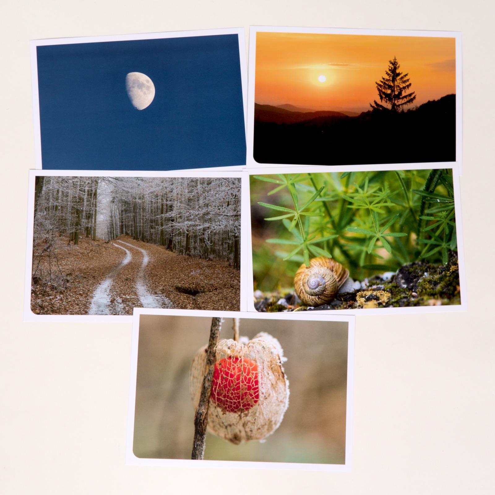 Beispielinhalt (Bild) Naturtherapie