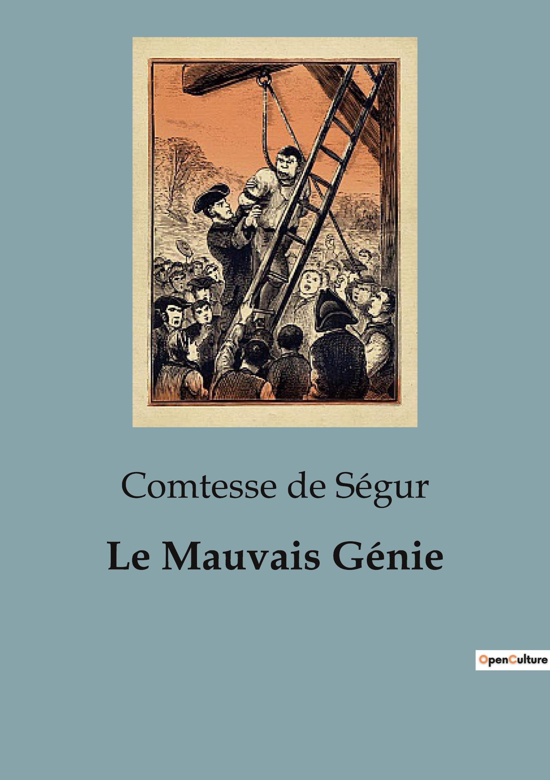 Vorderes Coverbild Le Mauvais Génie