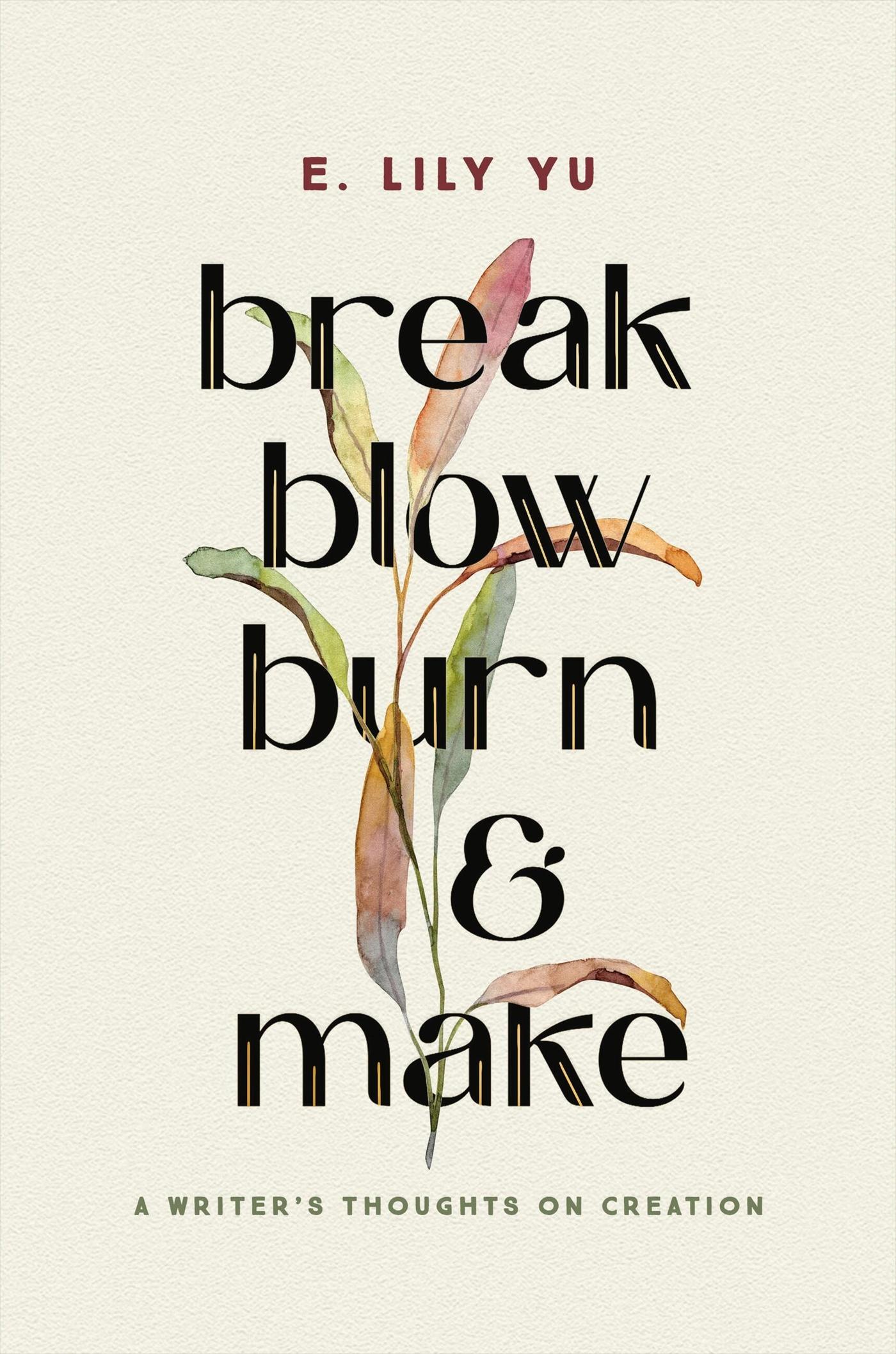 Vorderes Coverbild Break, Blow, Burn, and Make