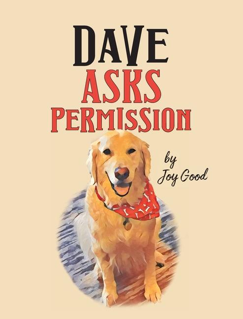 Vorderes Coverbild Dave Asks Permission