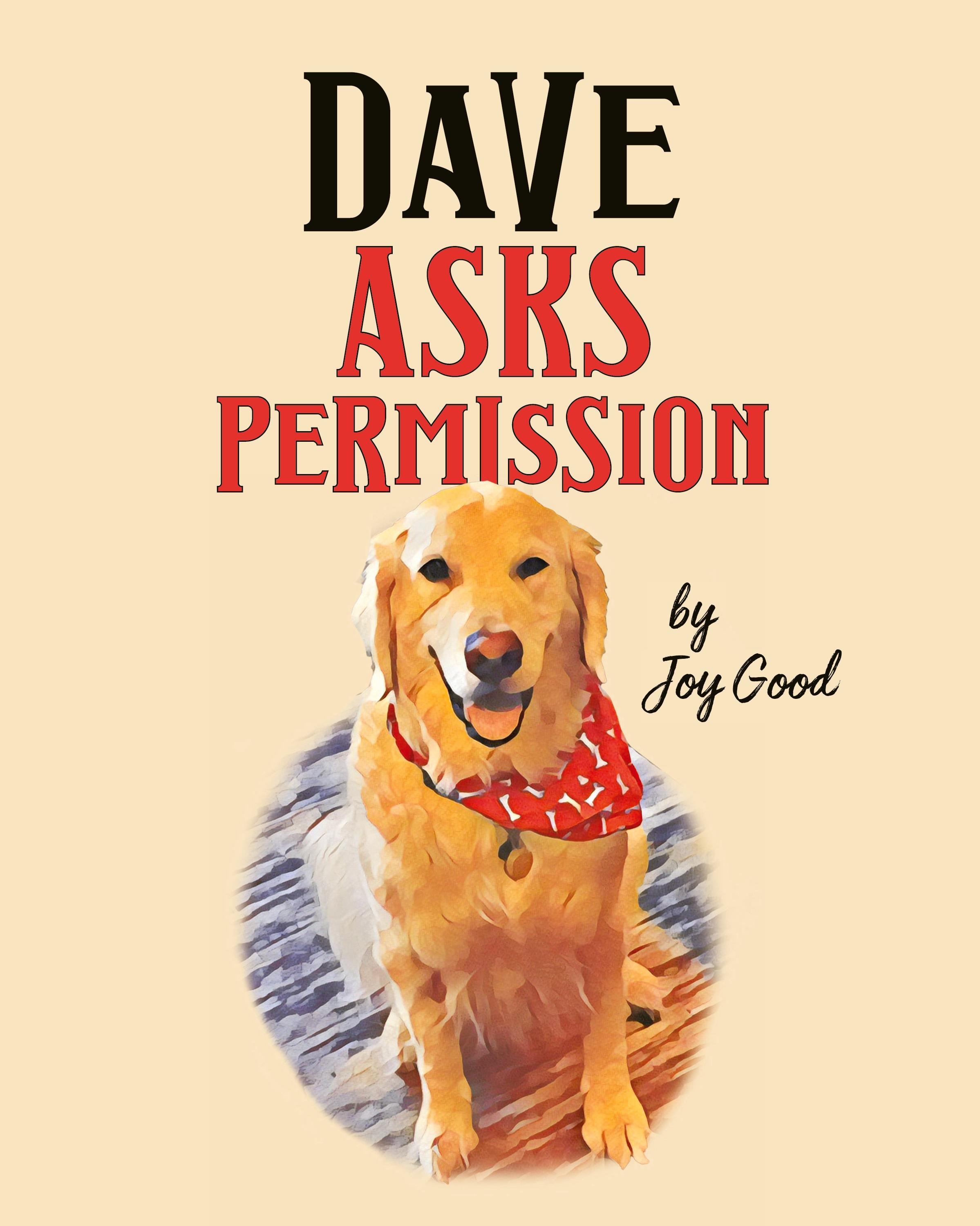 Vorderes Coverbild Dave Asks Permission