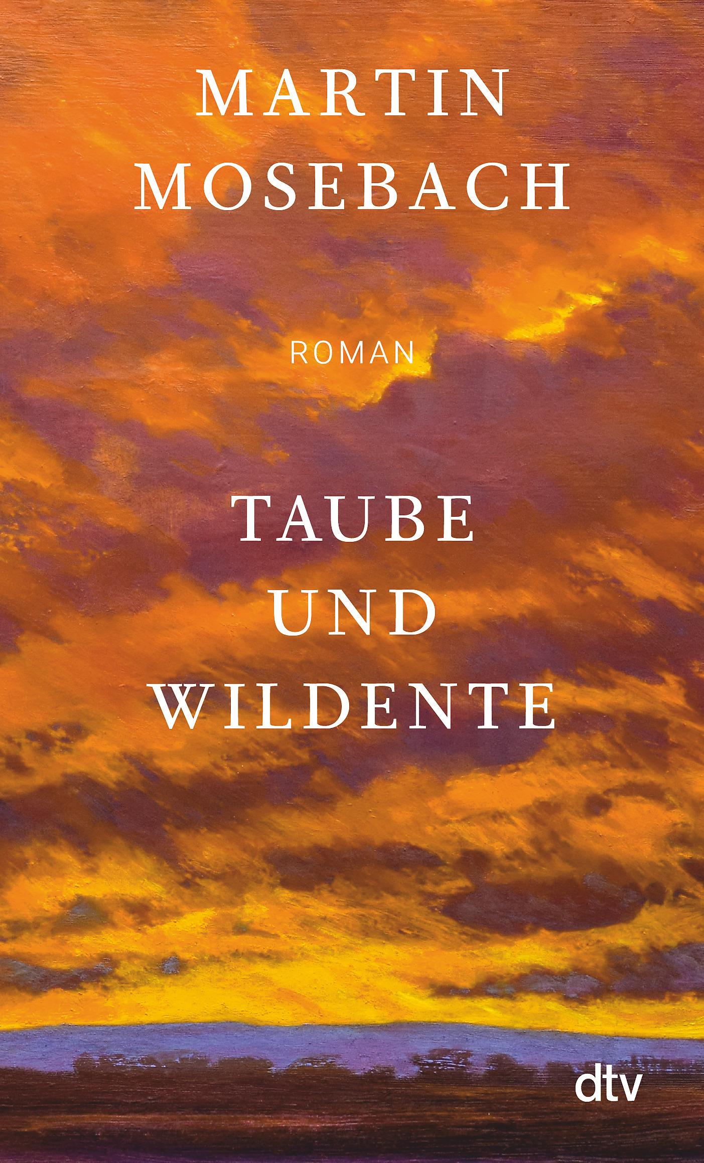 Vorderes Coverbild Taube und Wildente