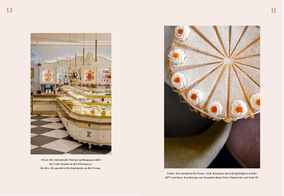 Beispielinhalt (Bild) Der süße Zauner