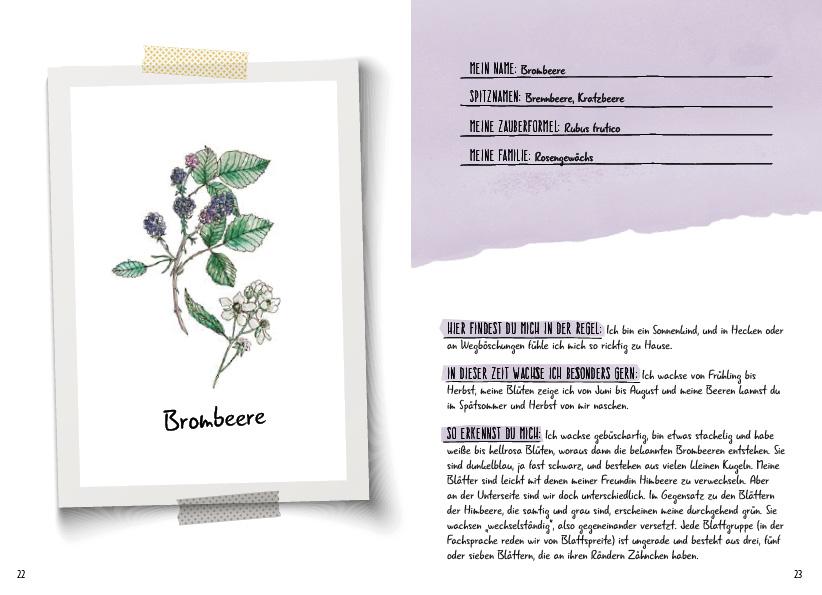 Beispielinhalt (Bild) Meine wilden Kräuterfreunde aus dem Wald