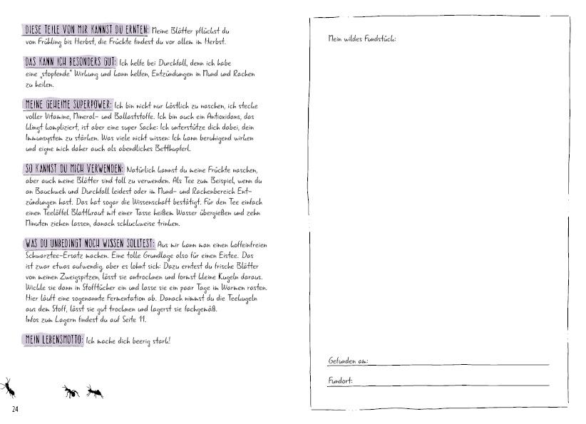 Beispielinhalt (Bild) Meine wilden Kräuterfreunde aus dem Wald