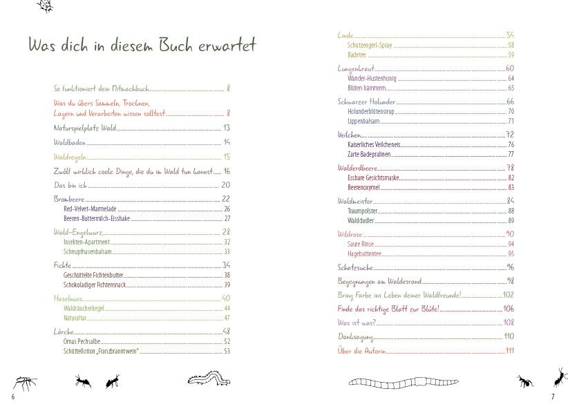 Beispielinhalt (Bild) Meine wilden Kräuterfreunde aus dem Wald