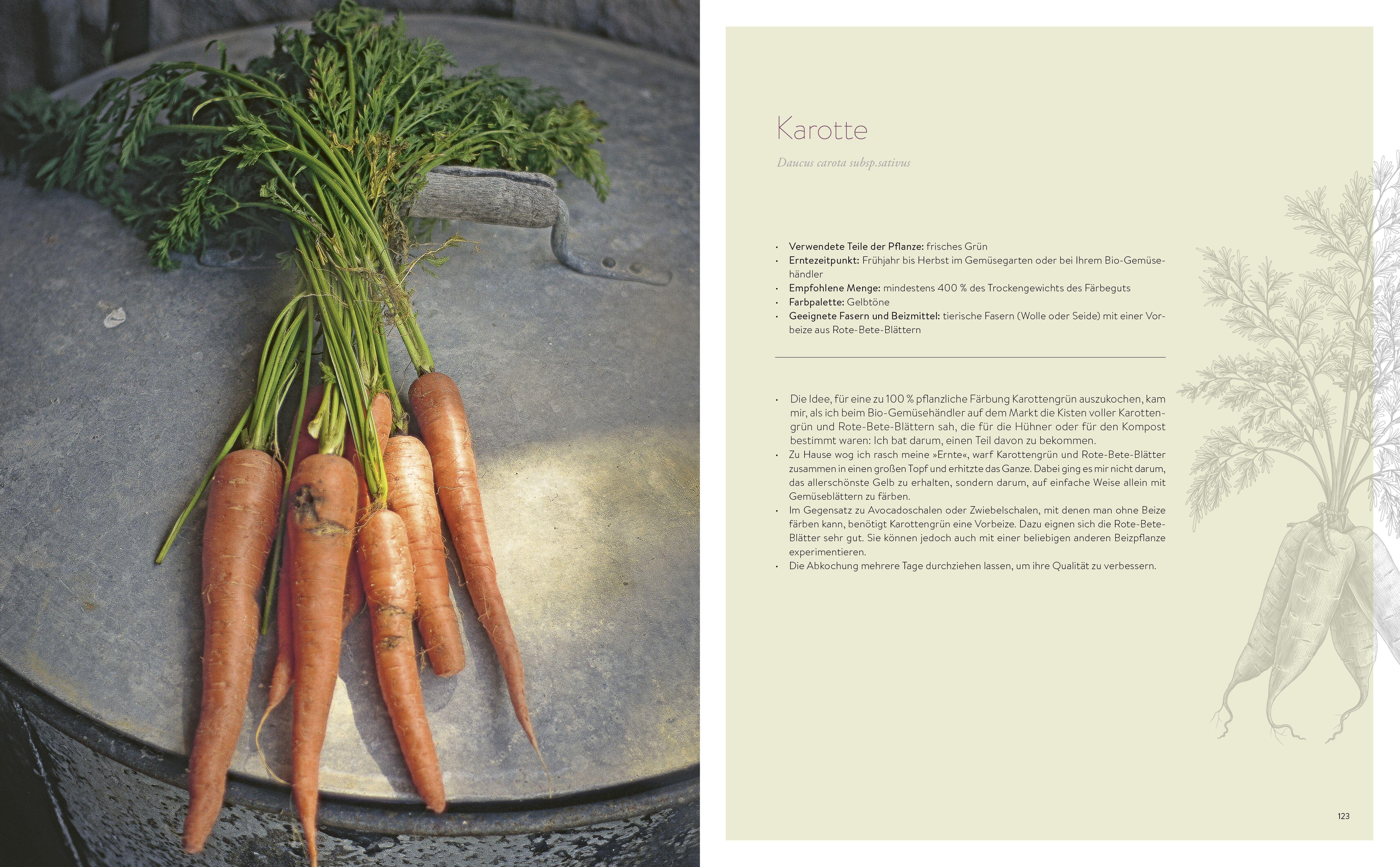 Beispielinhalt (Bild) Natürlich färben