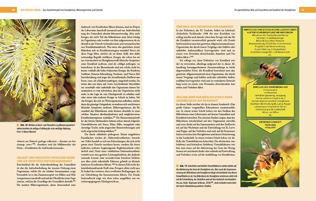 Beispielinhalt (Bild) Bienenbau und Bienenbeute