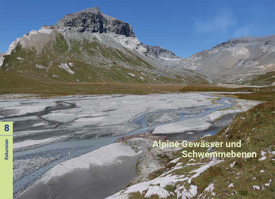 Beispielinhalt (Bild) Biodiversität zwischen Wasser und Land