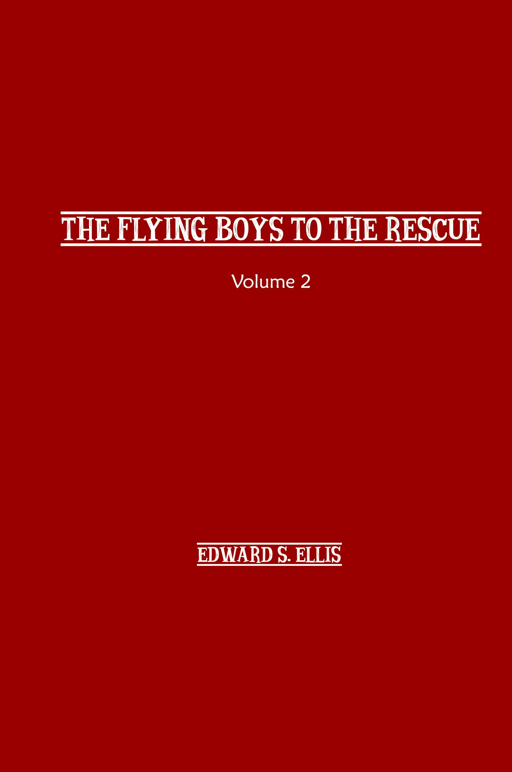 Vorderes Coverbild The Fly Boys to the Rescue