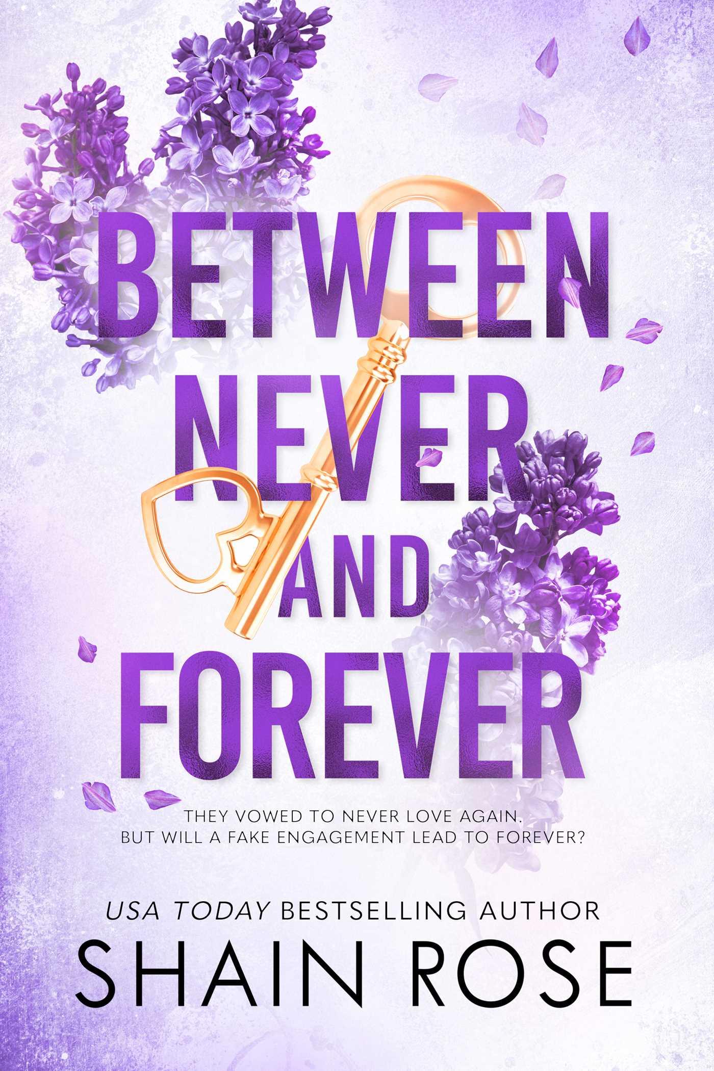 Vorderes Coverbild Between Never and Forever