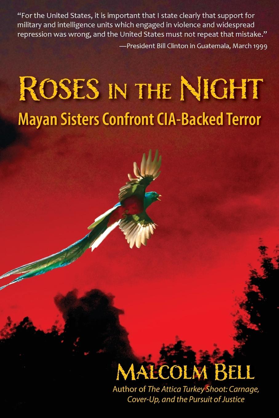 Vorderes Coverbild Roses in the Night