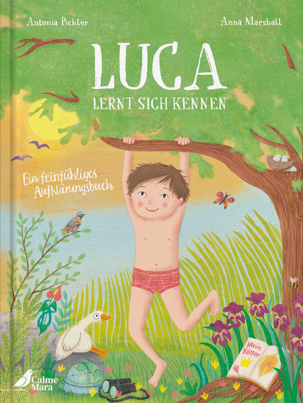 Vorderes Coverbild Luca lernt sich kennen