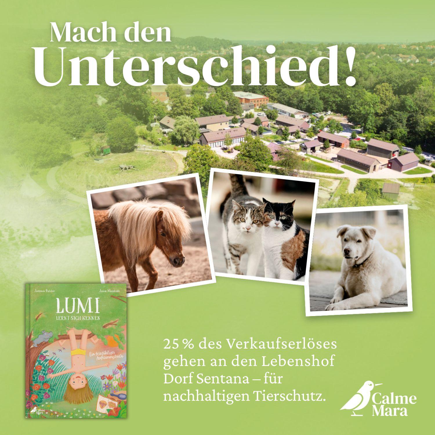 Beispielinhalt (Bild) Lumi lernt sich kennen