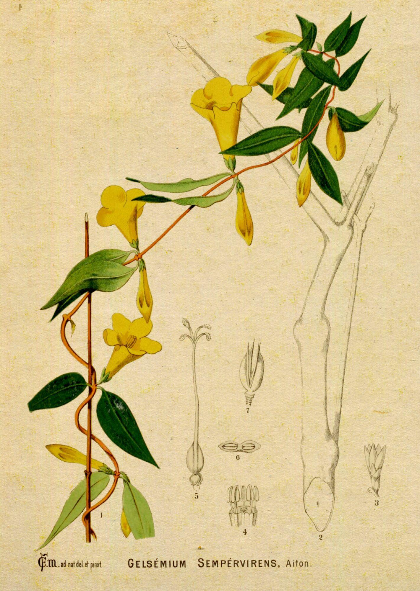 Beispielinhalt (Bild) Sherlock Holmes Bd. 7