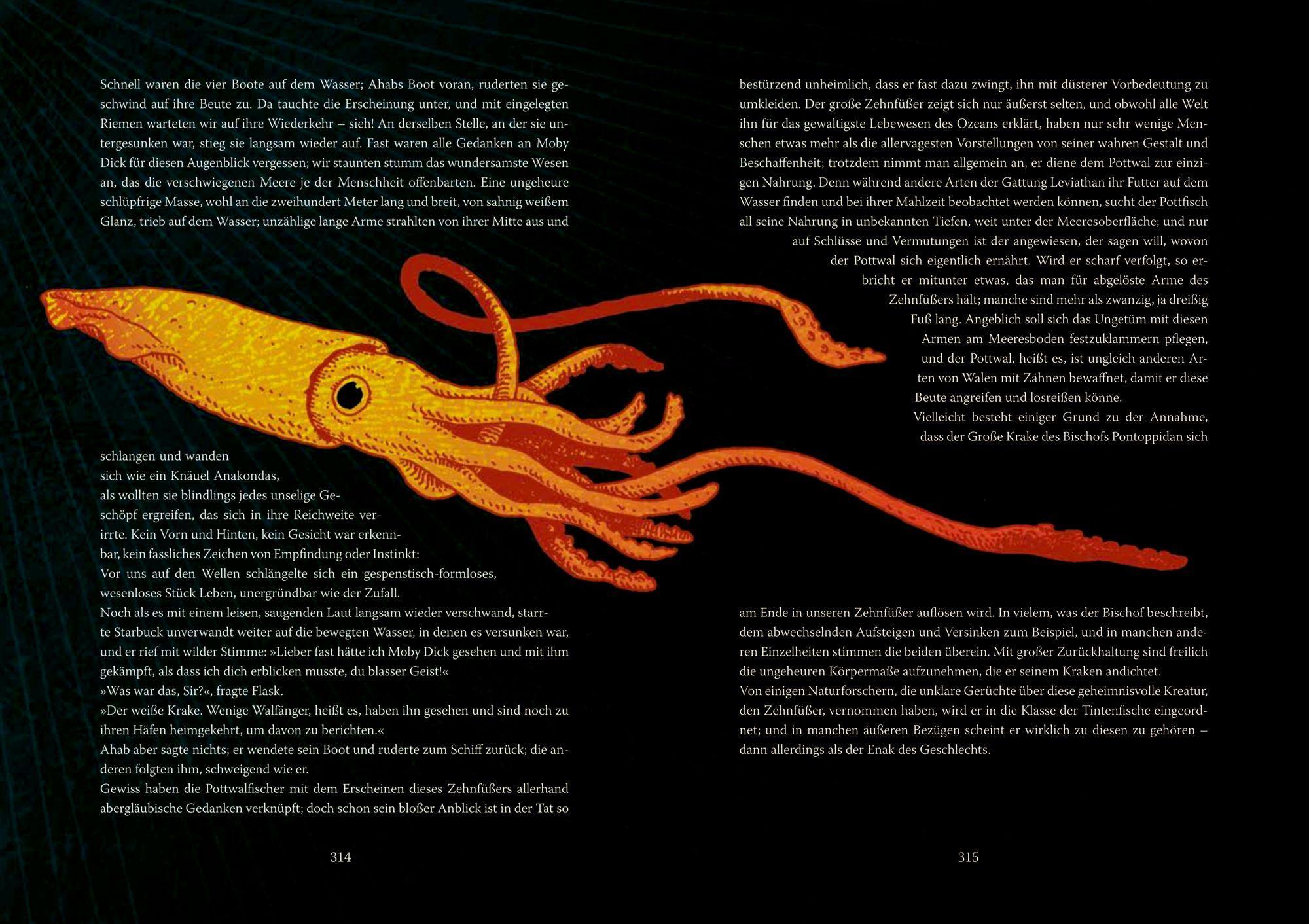 Beispielinhalt (Bild) Moby Dick