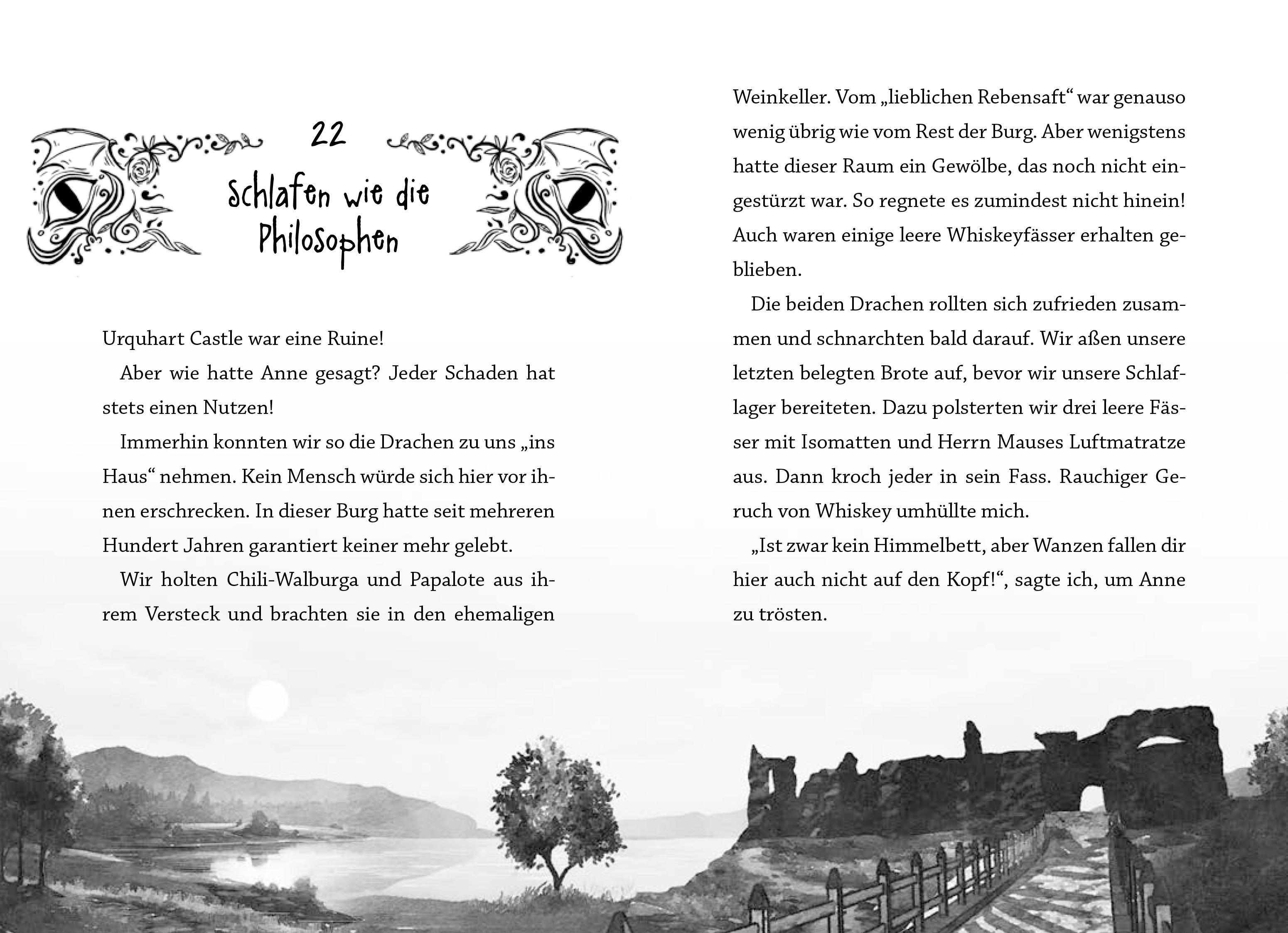 Beispielinhalt (Bild) Klau niemals einen Drachen (Band 3)