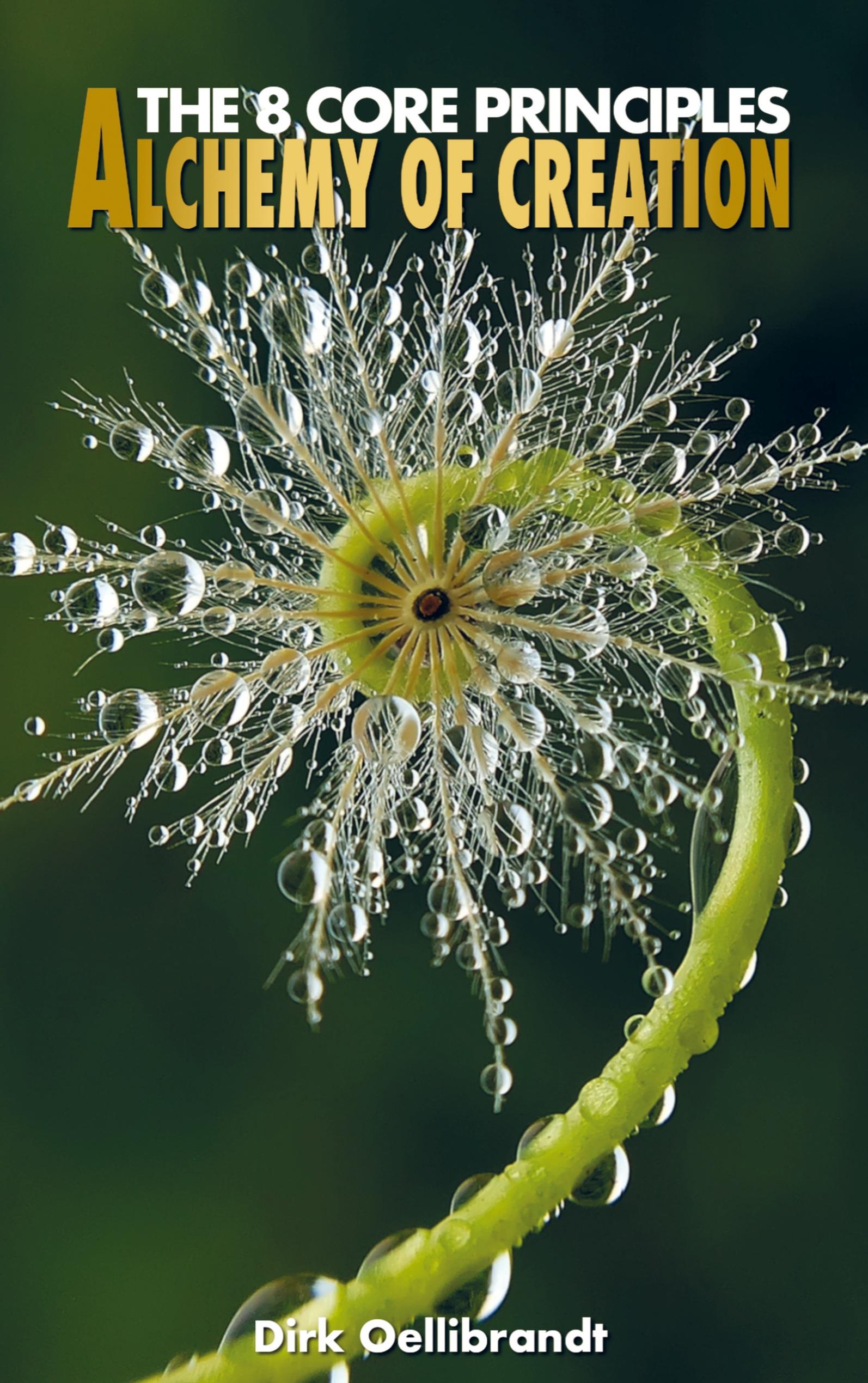 Vorderes Coverbild Alchemy of Creation