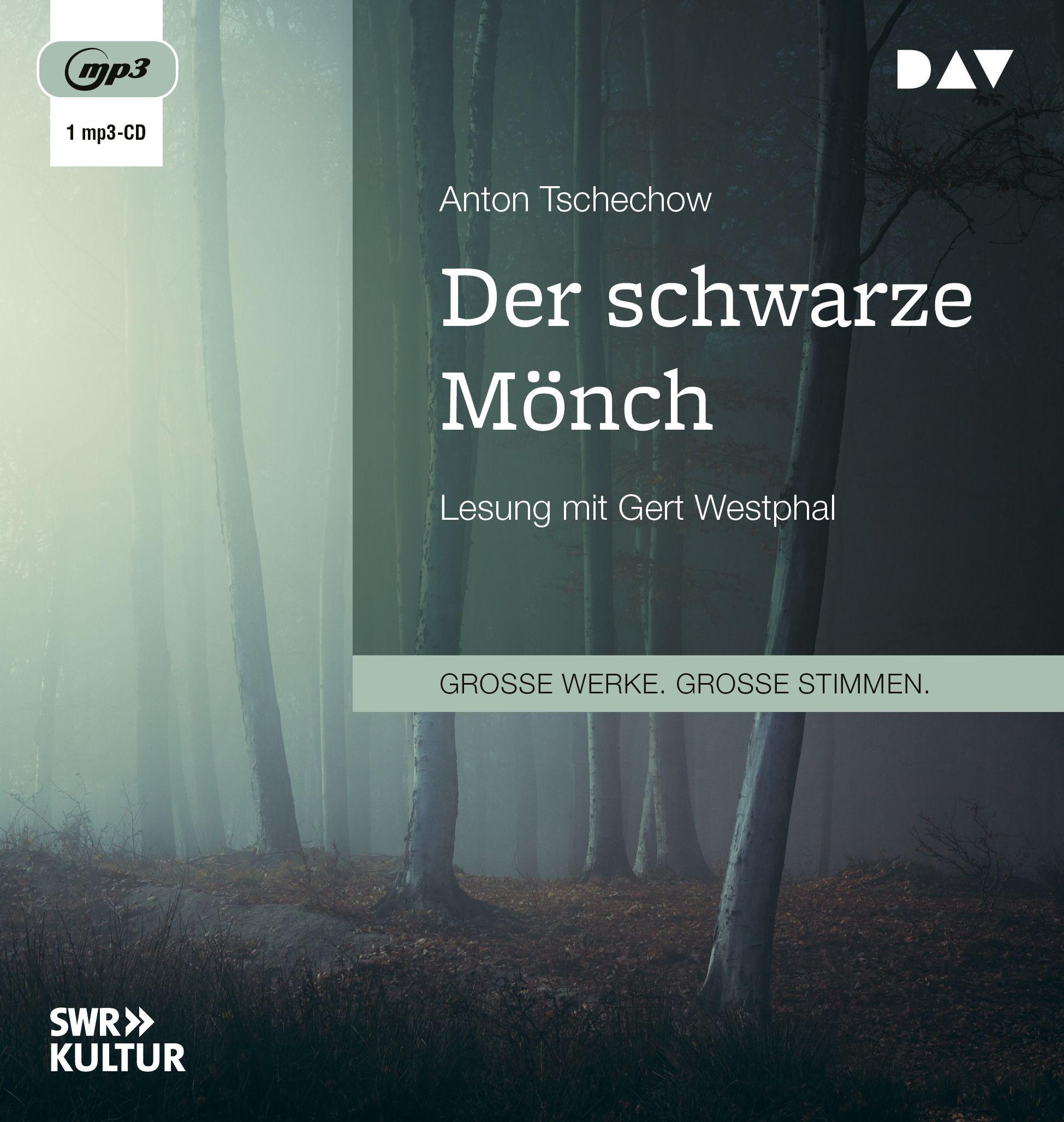 Vorderes Coverbild Der schwarze Mönch