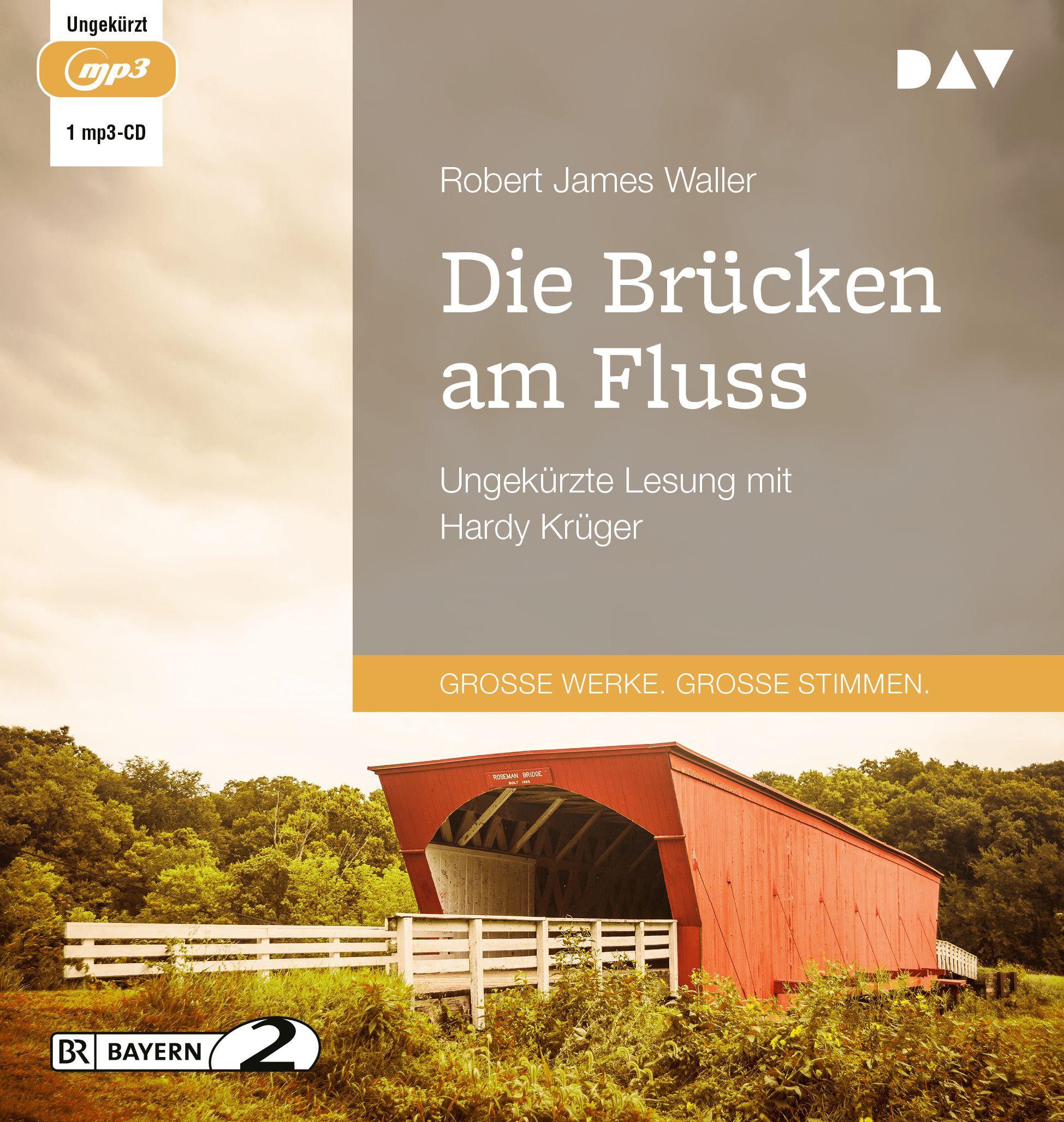 Vorderes Coverbild Die Brücken am Fluss