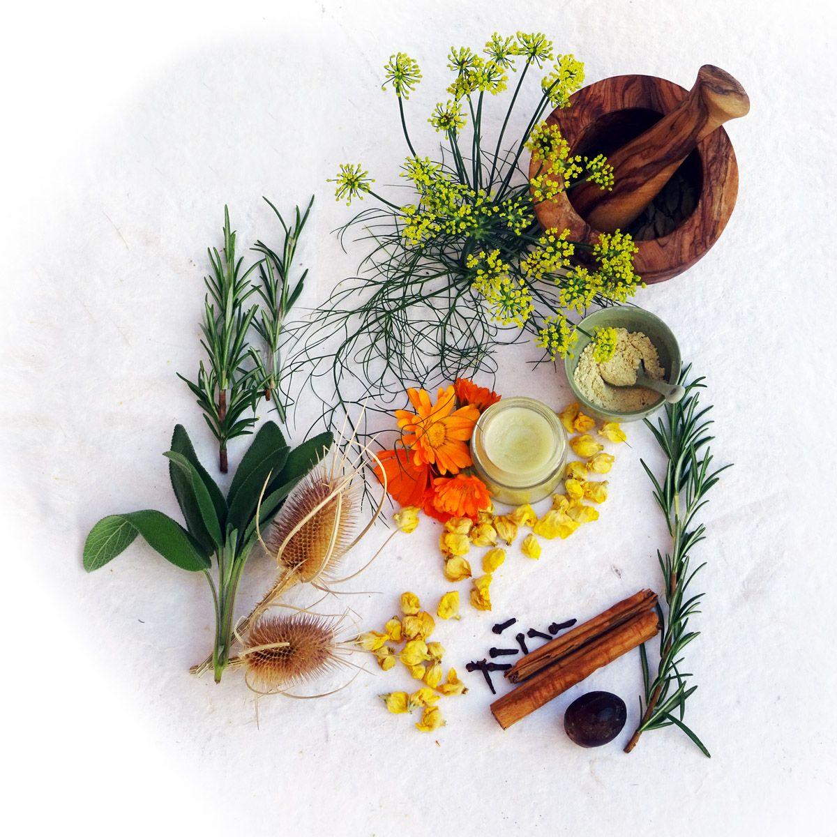 Beispielinhalt (Bild) Einfach gesund. Das Hildegard von Bingen Gesundheitsbuch