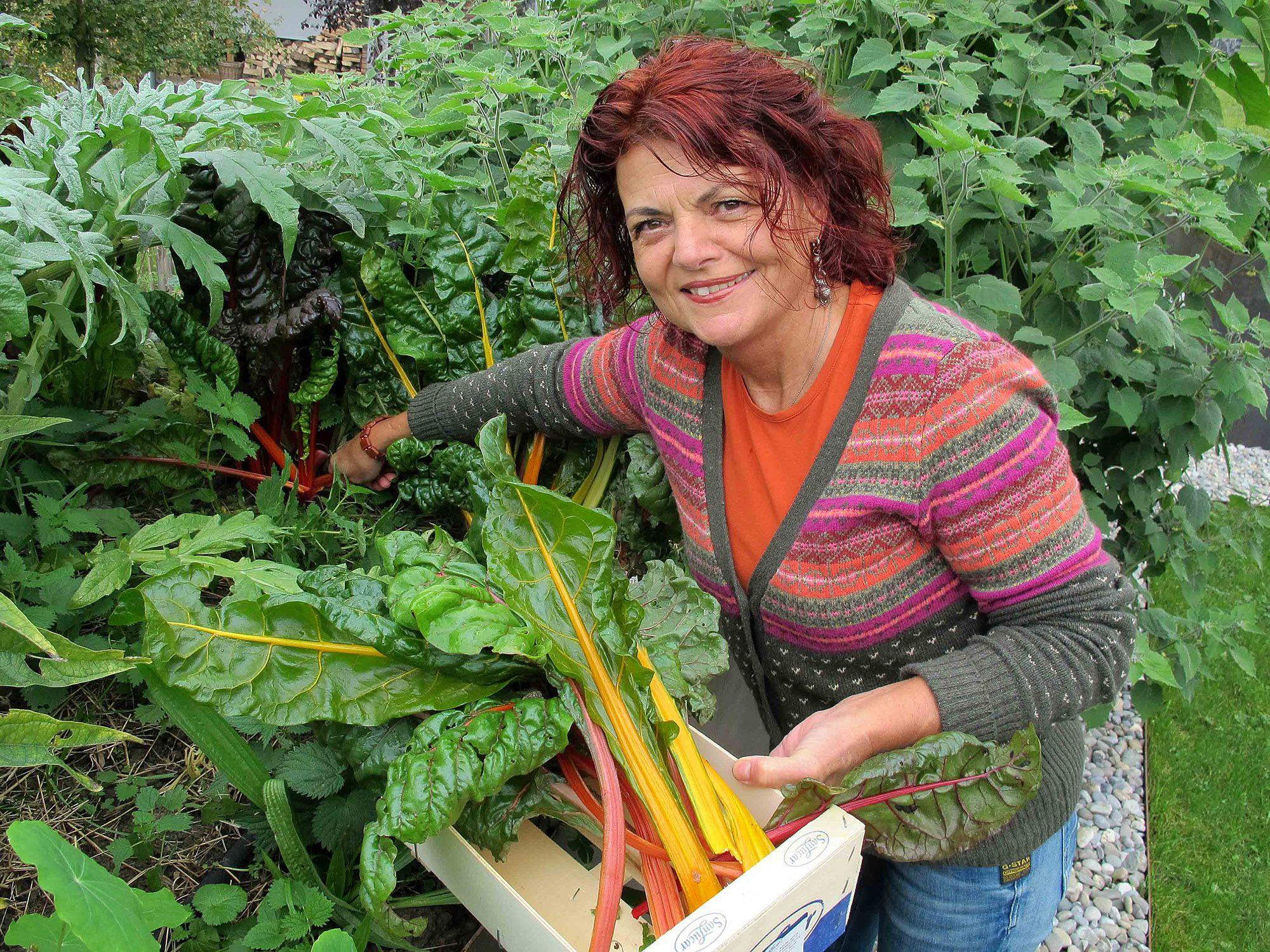 Beispielinhalt (Bild) Einfach gesund. Das Hildegard von Bingen Gesundheitsbuch