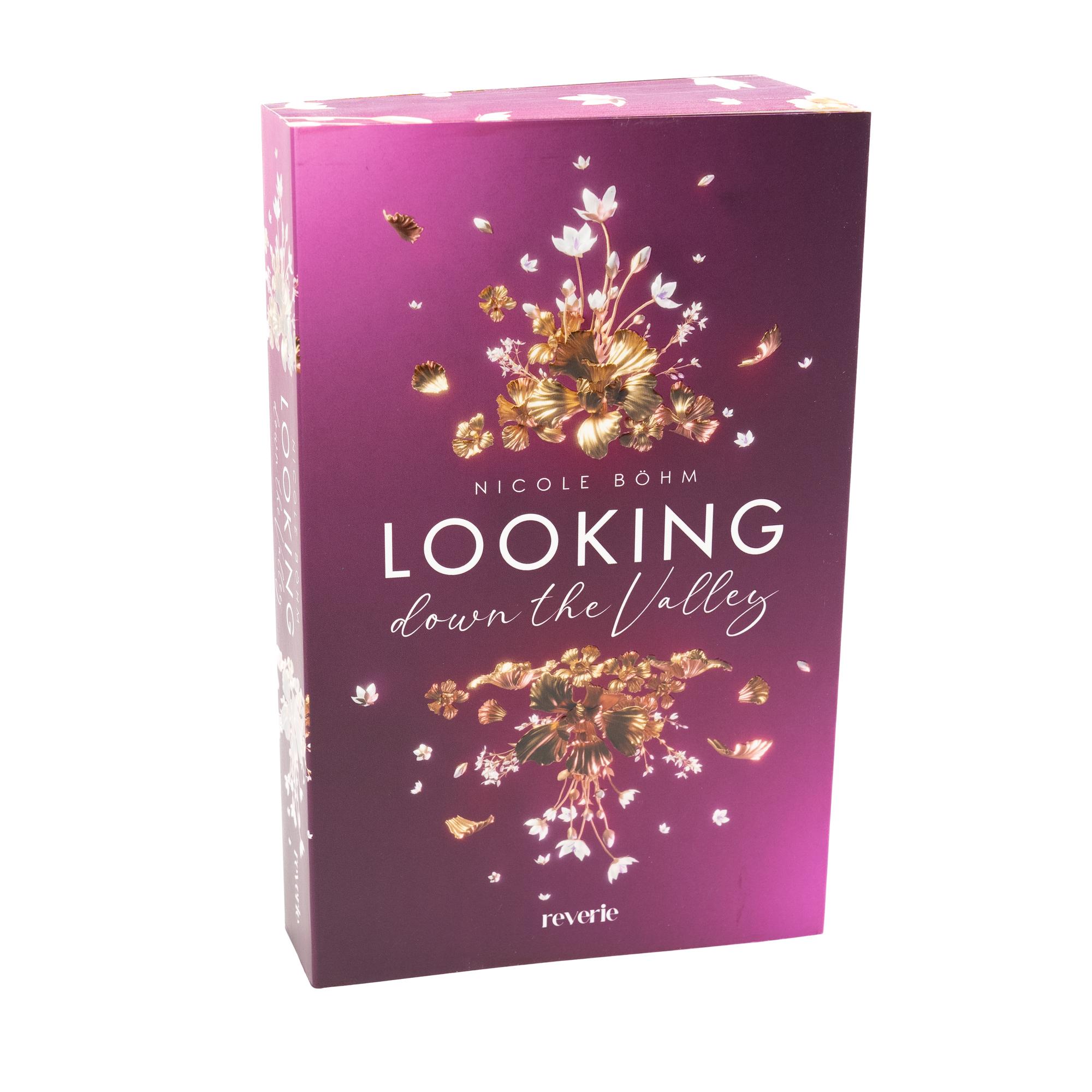 Beispielinhalt (Bild) Looking down the Valley