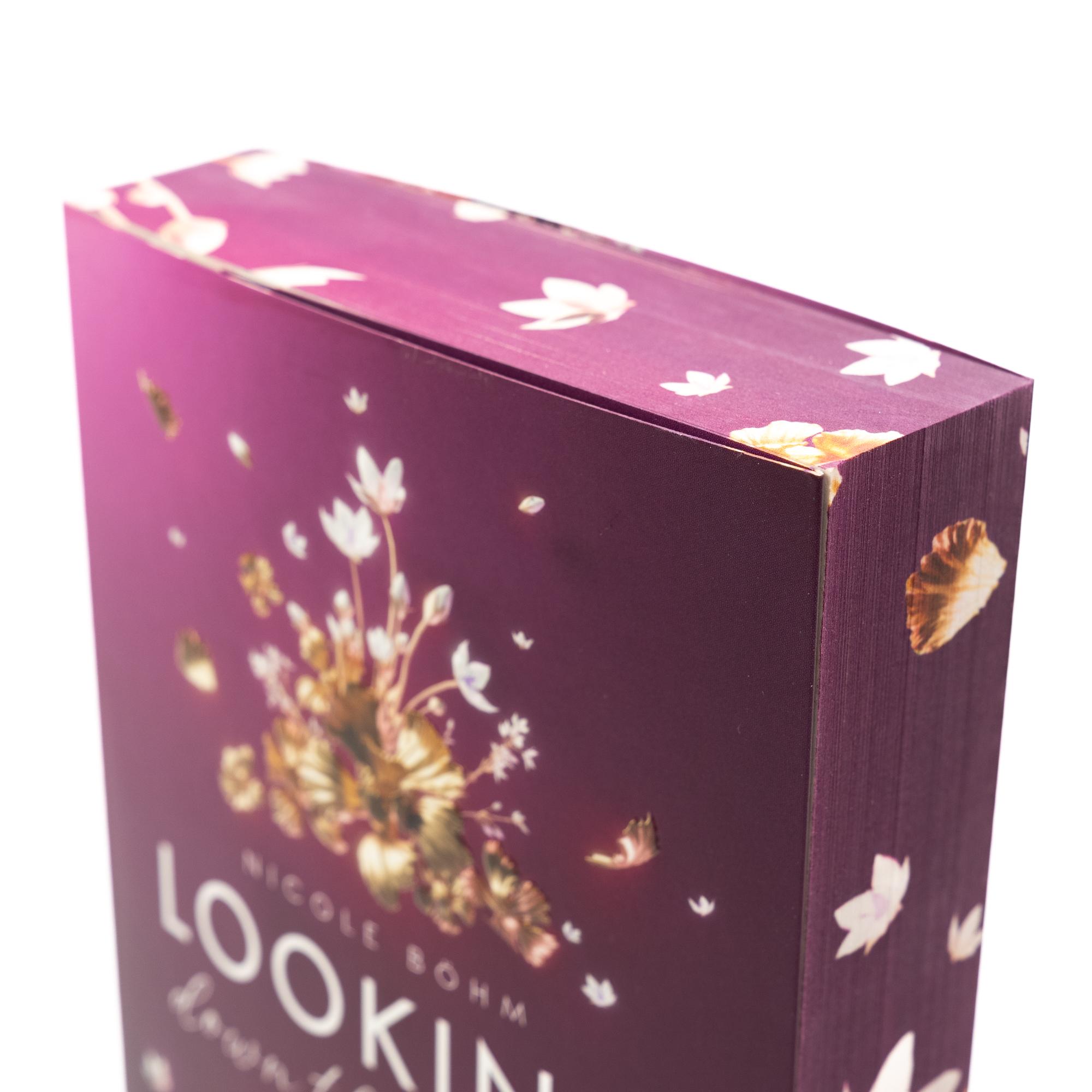 Beispielinhalt (Bild) Looking down the Valley