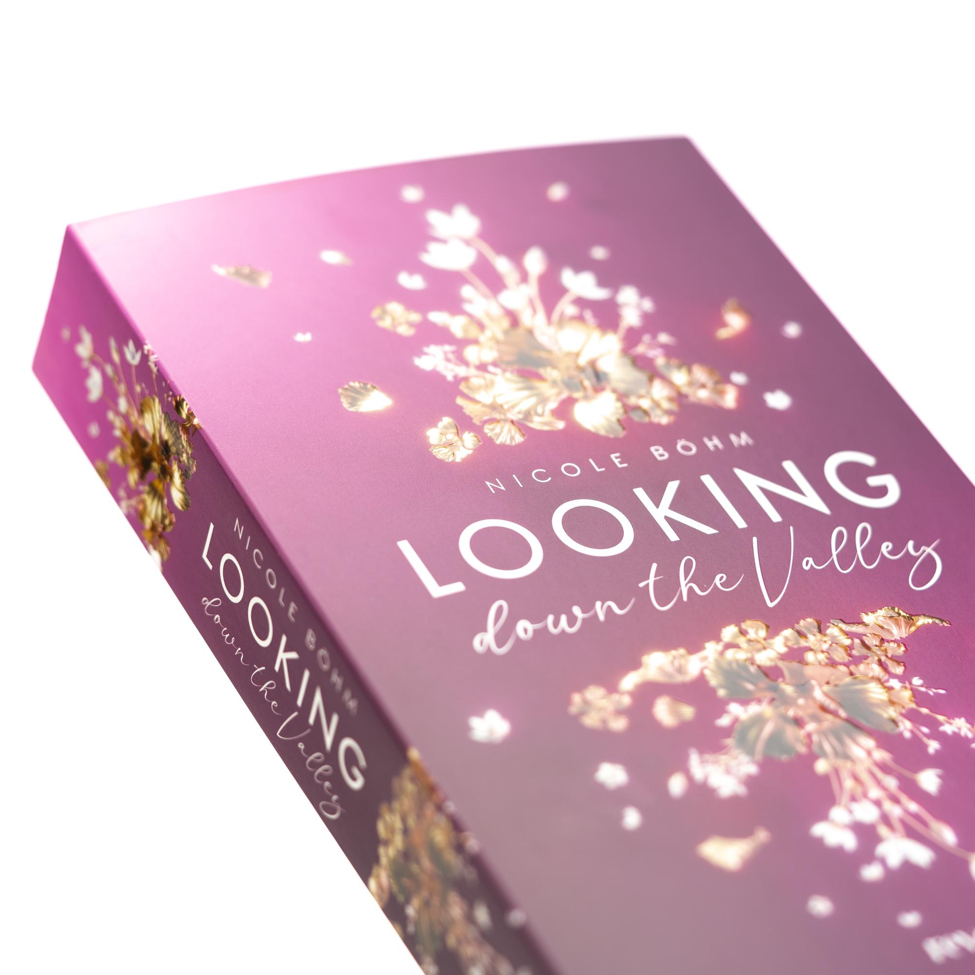 Beispielinhalt (Bild) Looking down the Valley