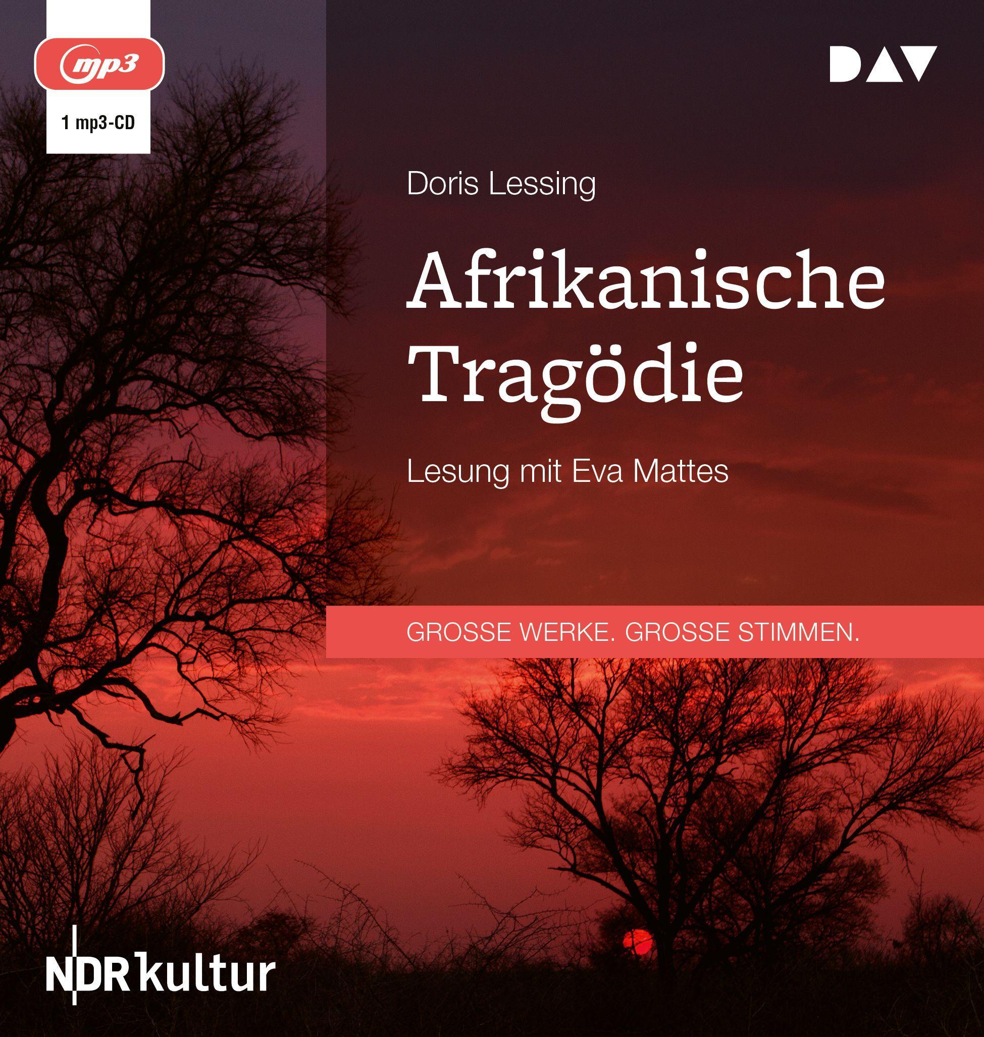 Vorderes Coverbild Afrikanische Tragödie
