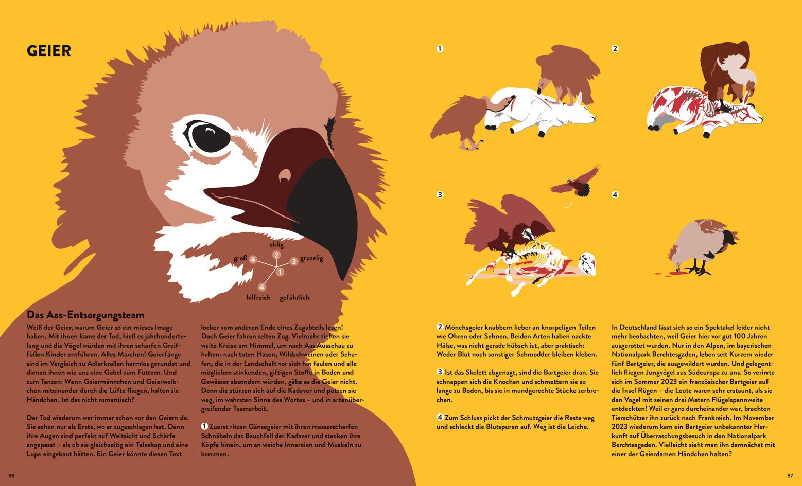 Beispielinhalt (Bild) Stinker, Sauger, Schleimer. 22 großartige Gruseltiere