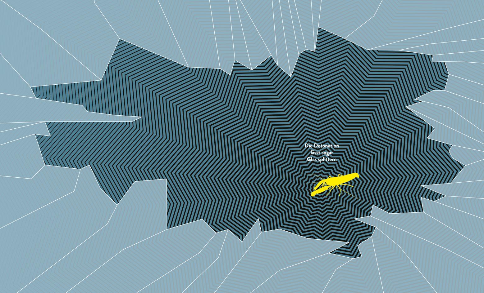 Beispielinhalt (Bild) Stinker, Sauger, Schleimer. 22 großartige Gruseltiere