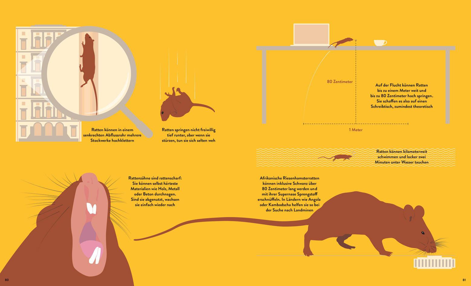 Beispielinhalt (Bild) Stinker, Sauger, Schleimer. 22 großartige Gruseltiere