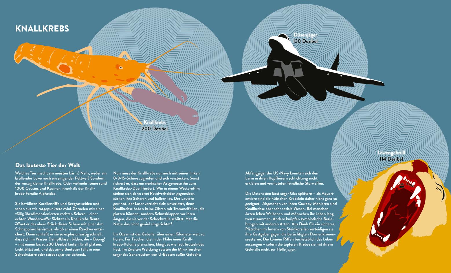 Beispielinhalt (Bild) Stinker, Sauger, Schleimer. 22 großartige Gruseltiere