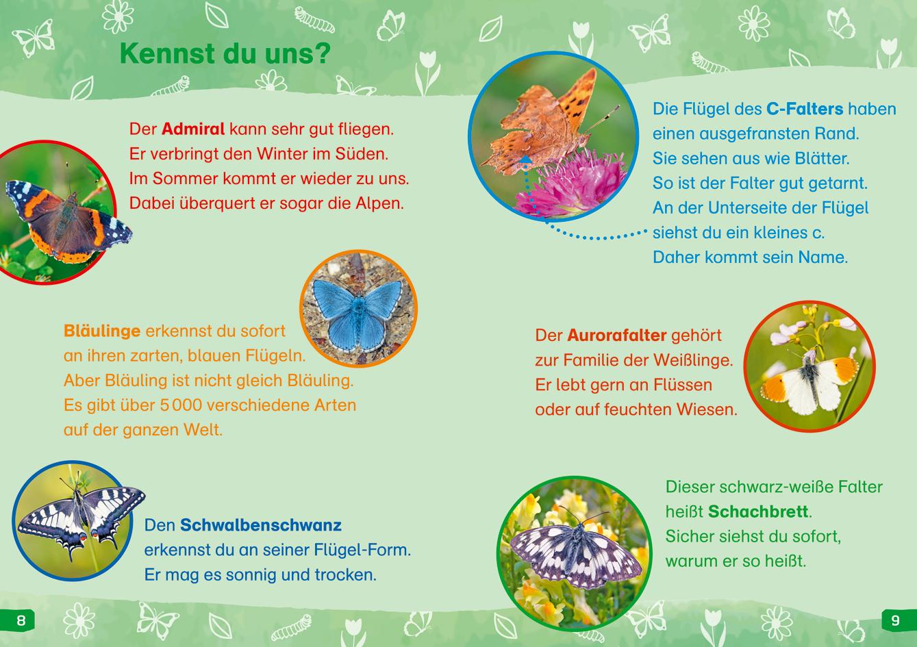 Beispielinhalt (Bild) WAS IST WAS Erstes Lesen easy! Band 15. Wie leben die Schmetterlinge?