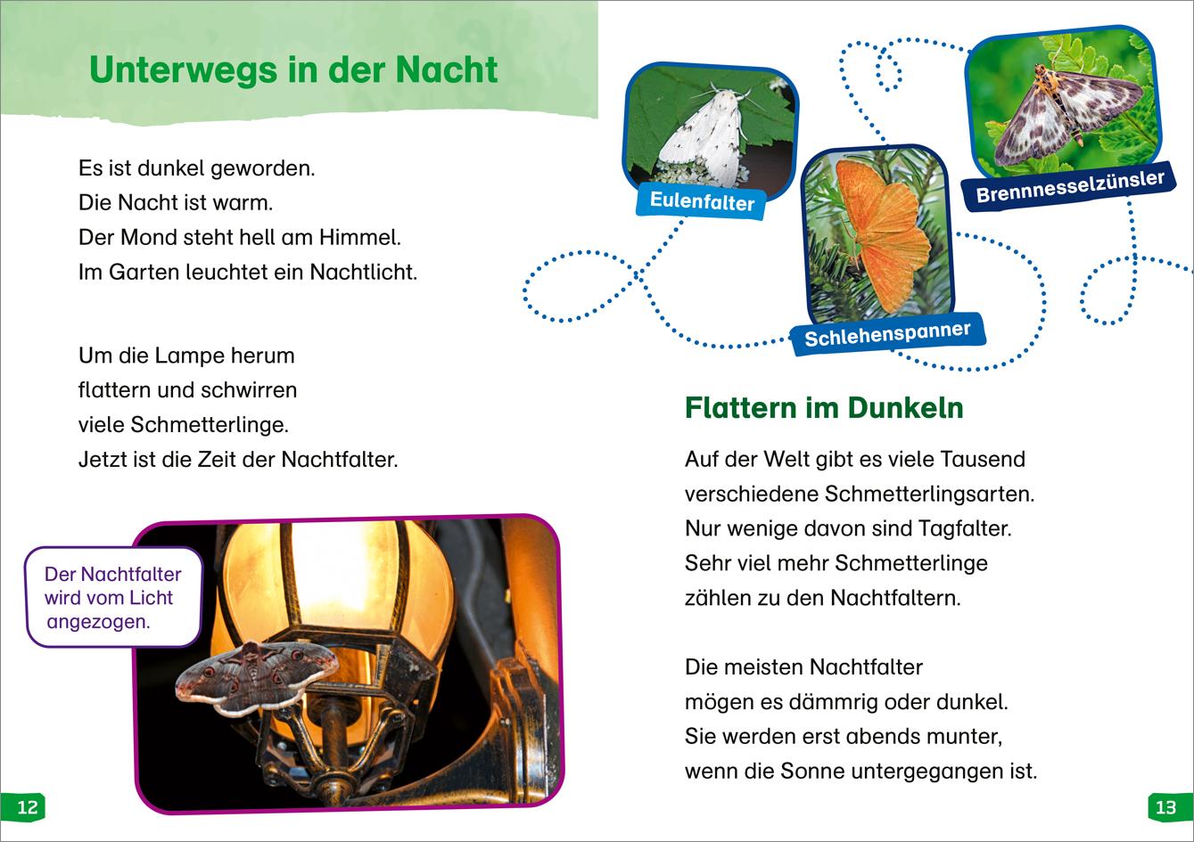Beispielinhalt (Bild) WAS IST WAS Erstes Lesen easy! Band 15. Wie leben die Schmetterlinge?